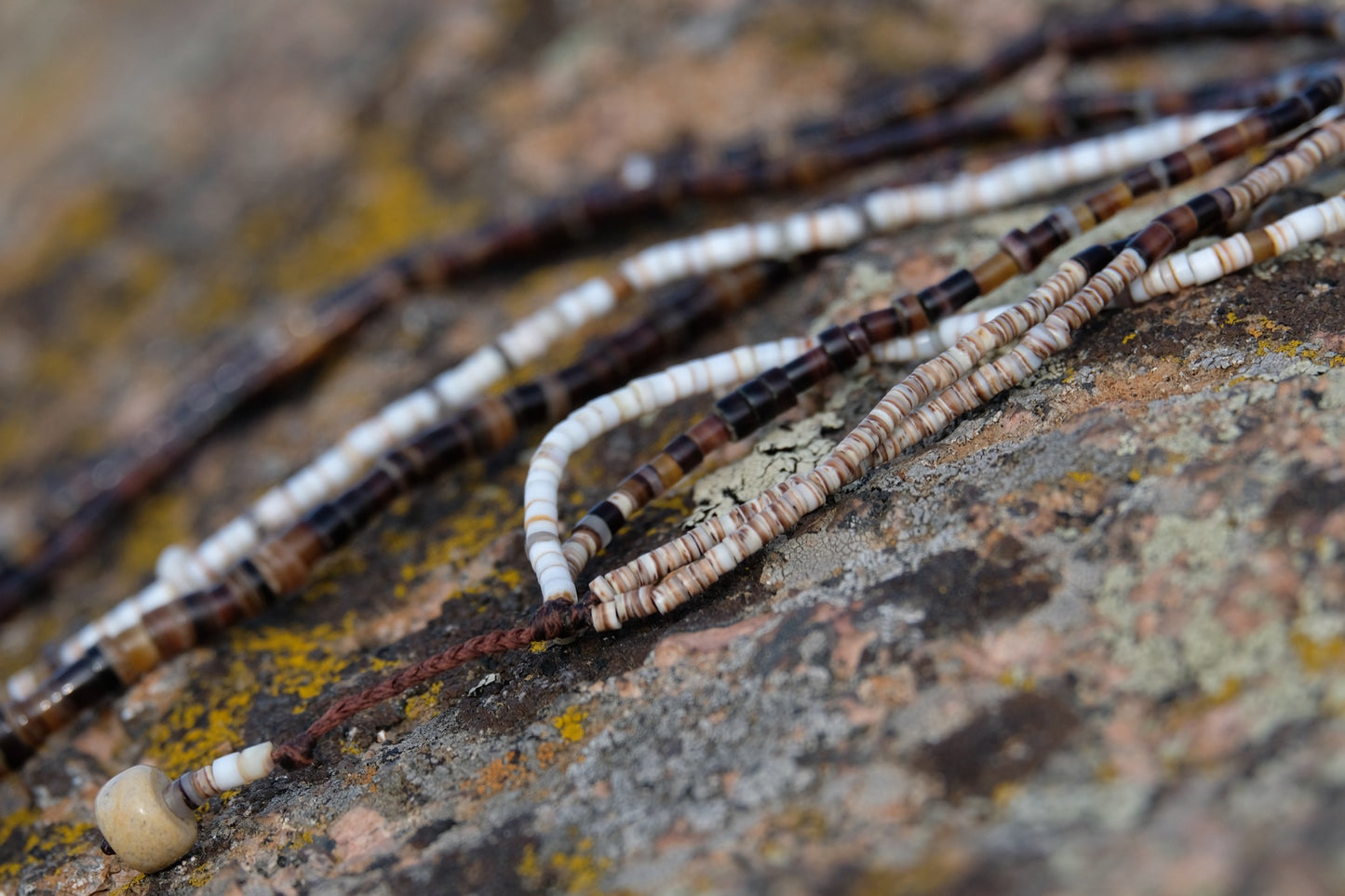Stone & Shell