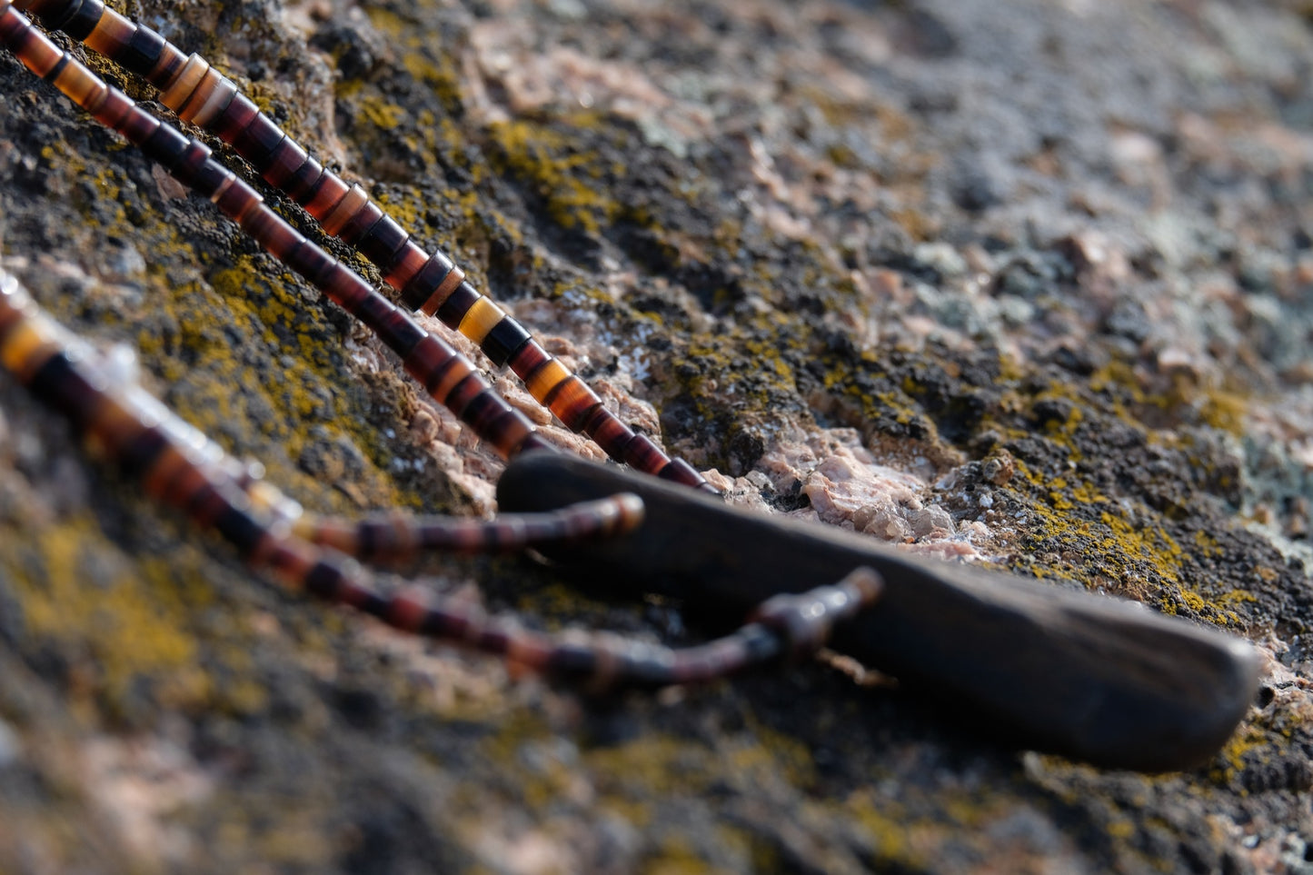 Stone & Shell