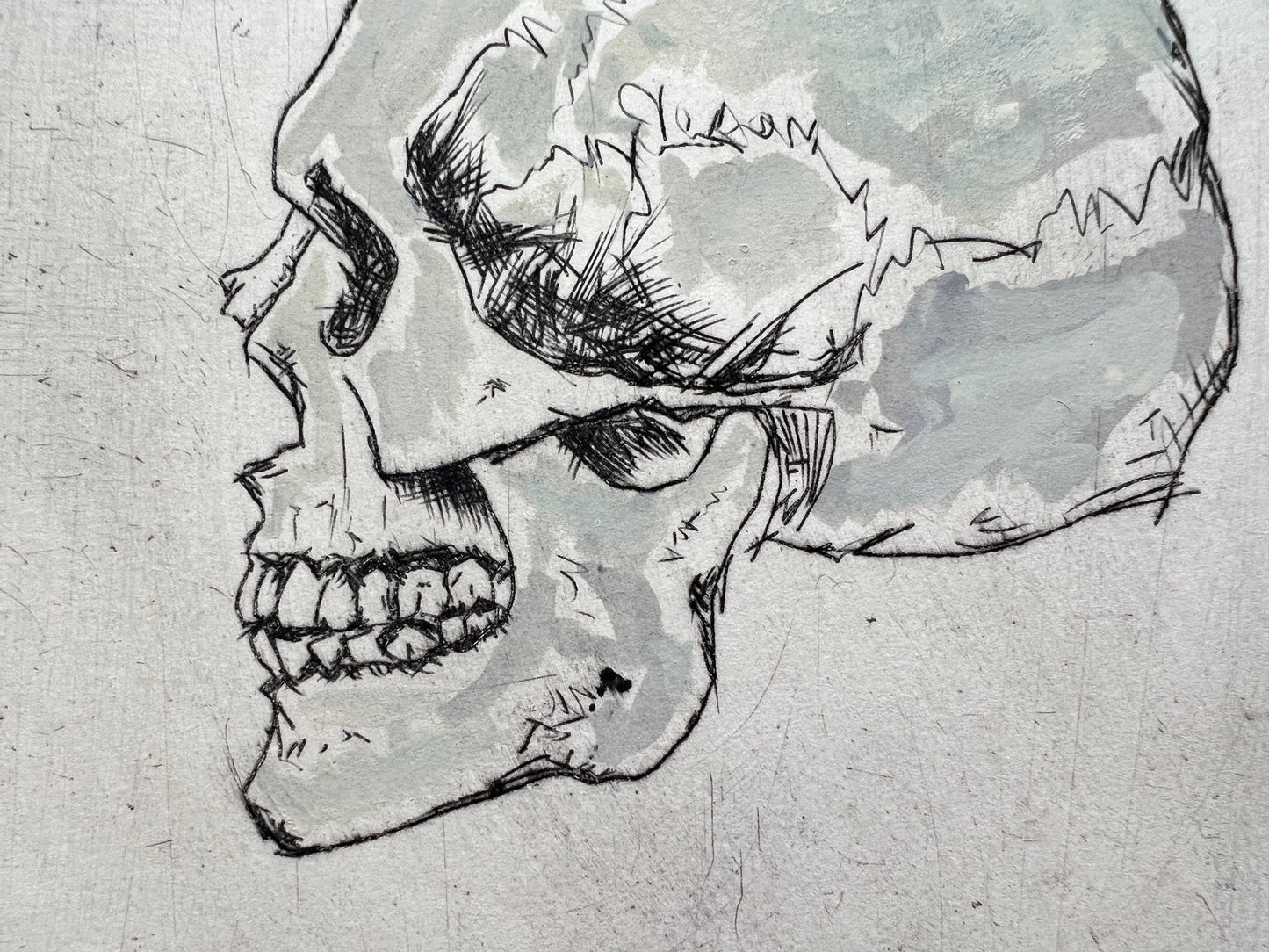 Skull