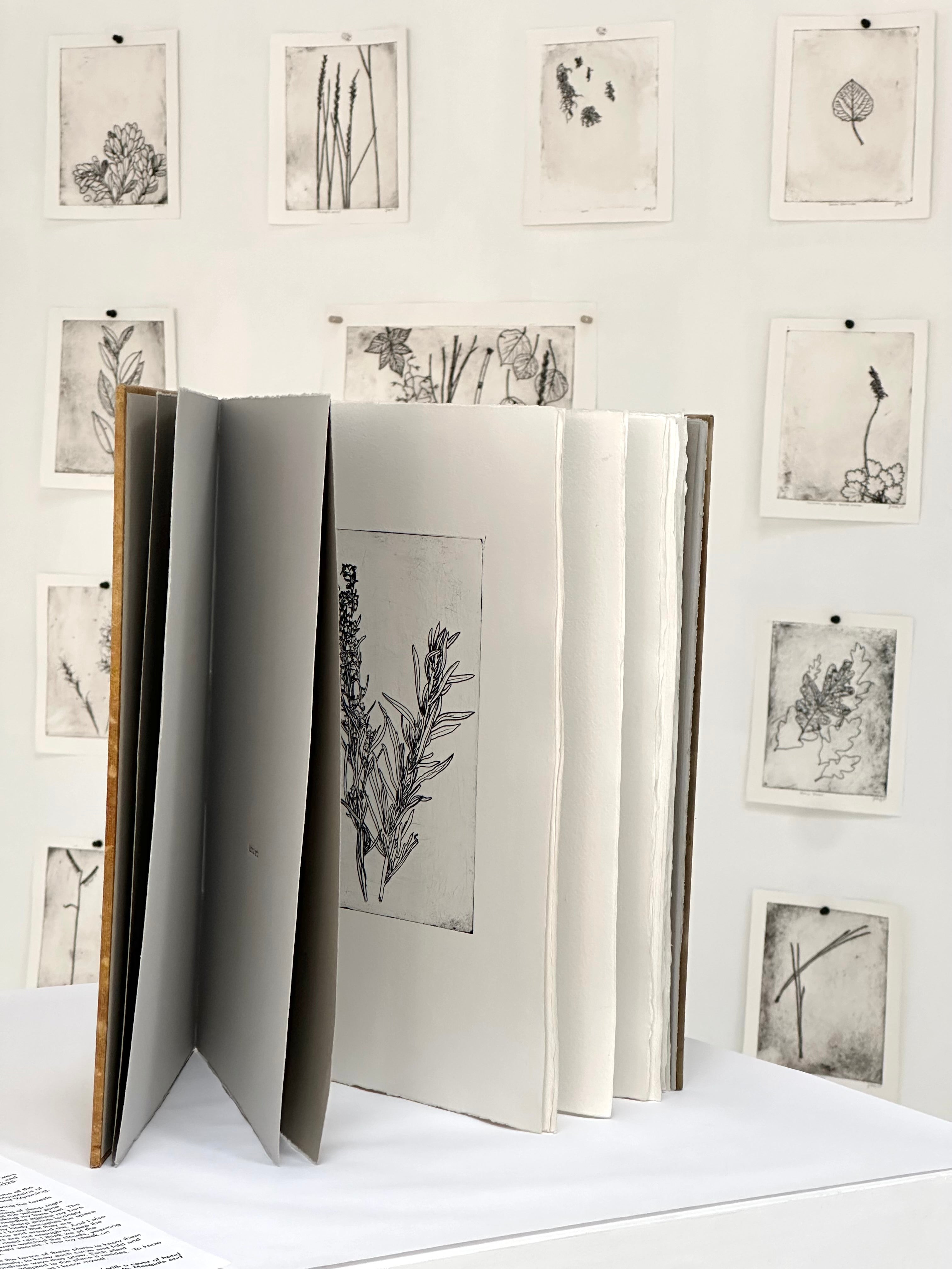 What Are the Colors of the Place You Love Most in This World? The Book