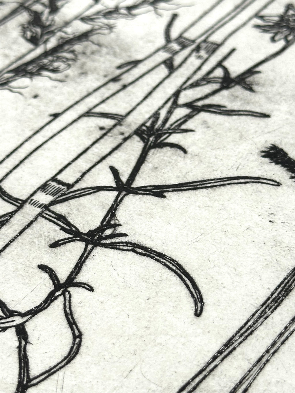 What are the colors of the place you love most in the world? - an intaglio print