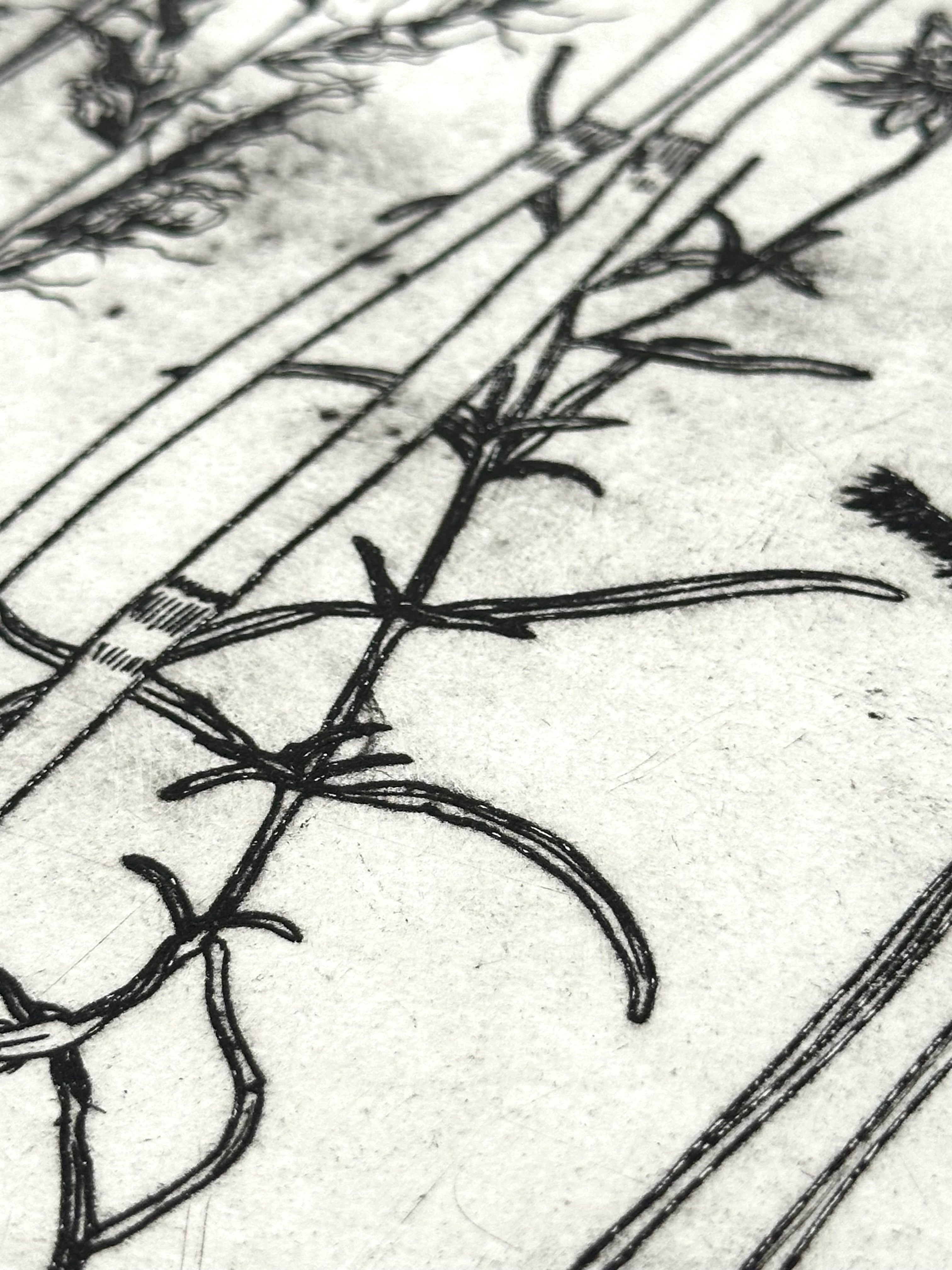 What are the colors of the place you love most in the world? - an intaglio print