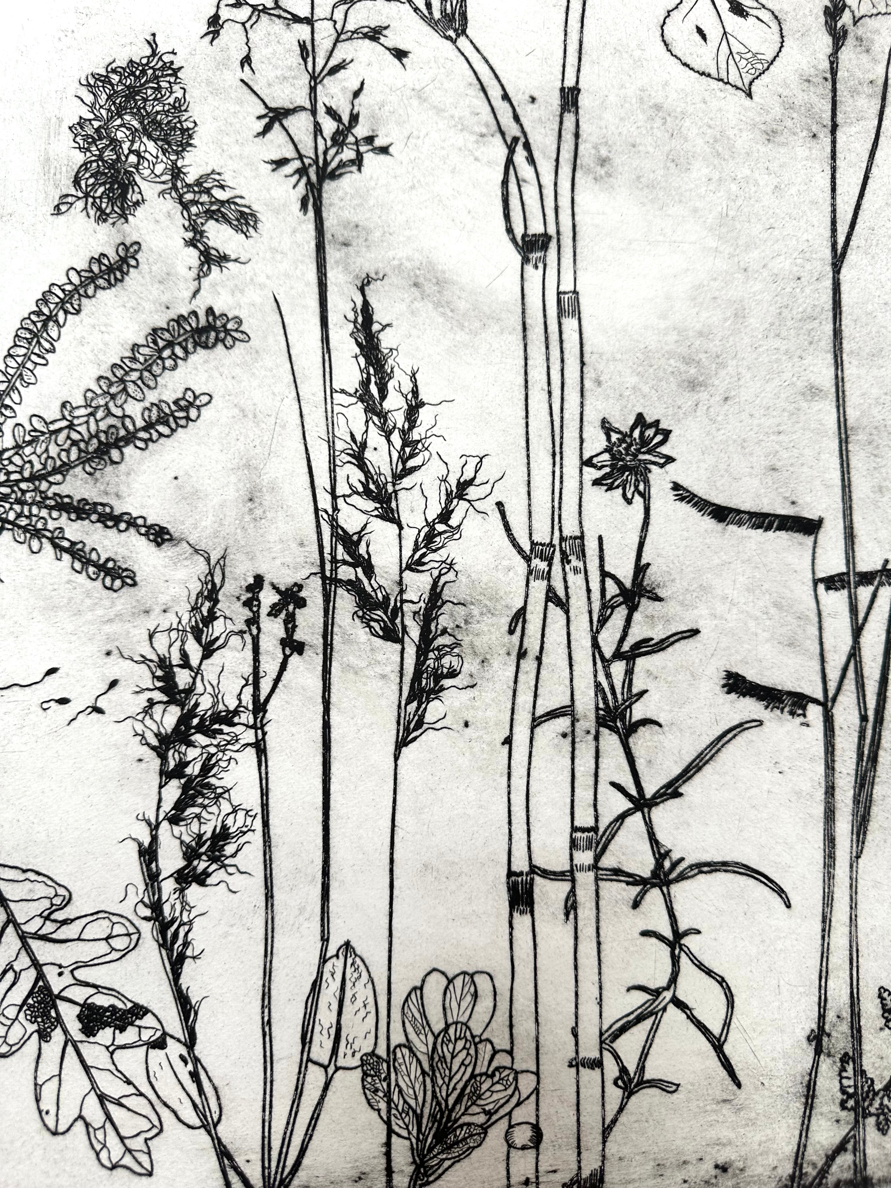 What are the colors of the place you love most in the world? - an intaglio print
