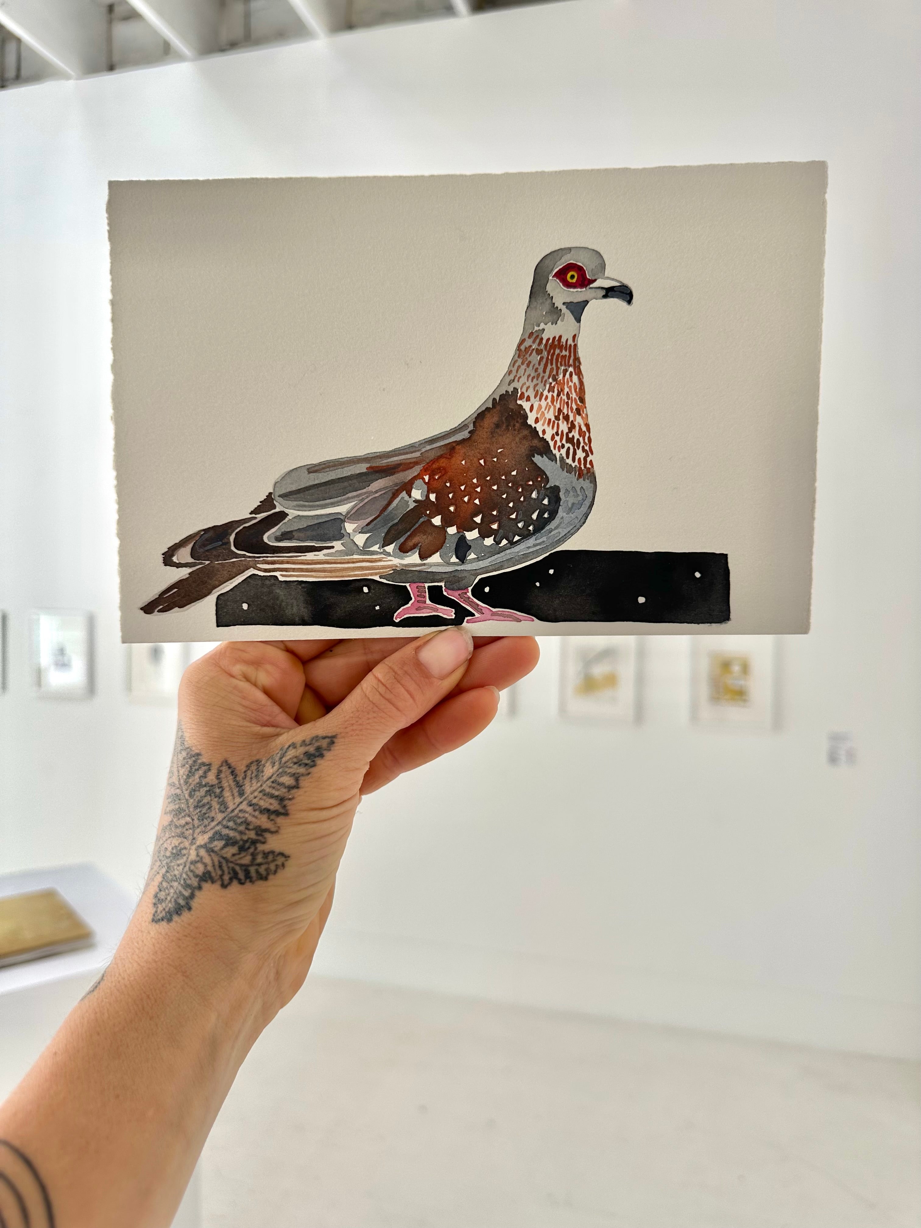 Speckled Pigeon - a watercolor painting