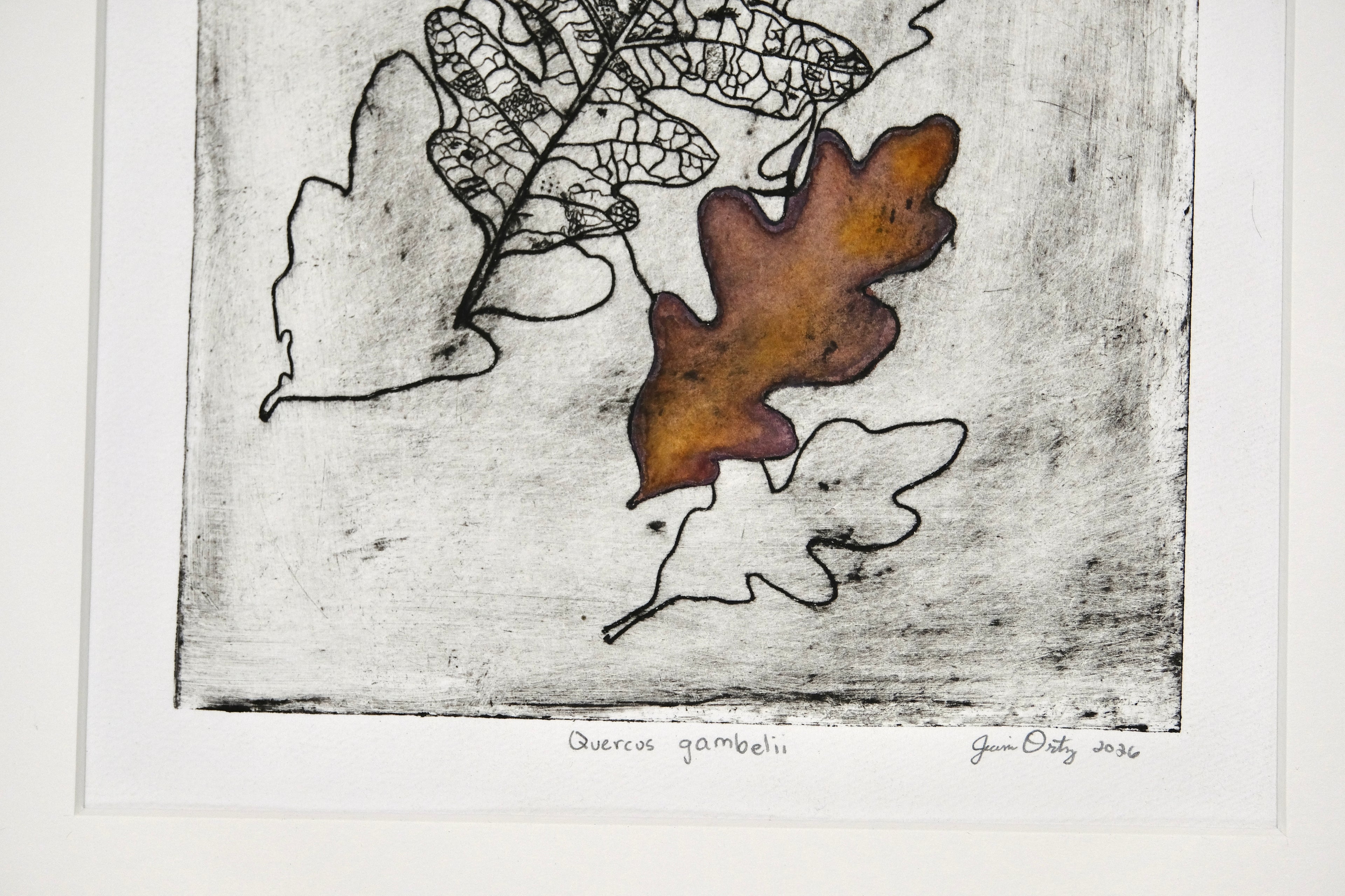 New Mexico Scrub Oak - a painted intaglio print