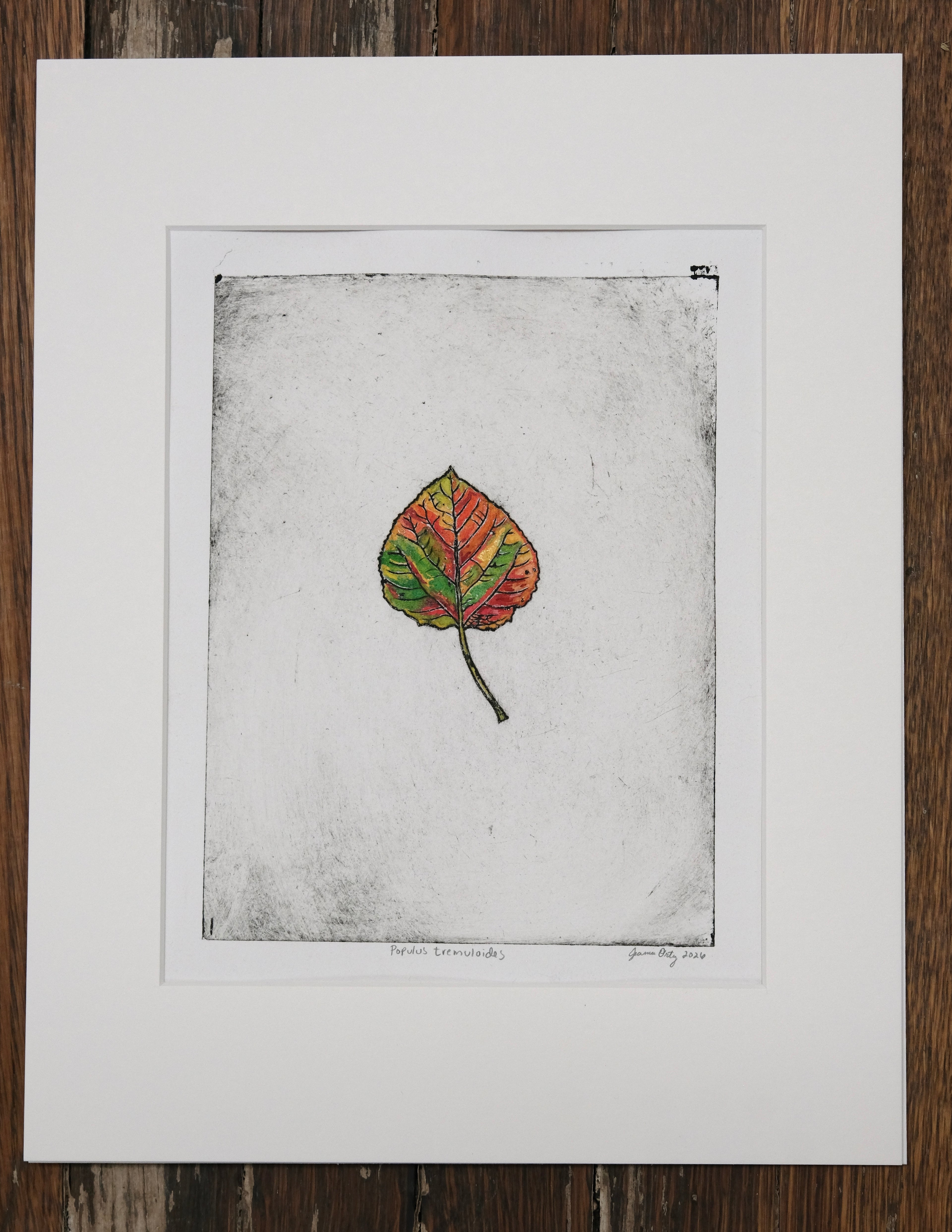 Aspen Leaf - a painted intaglio print