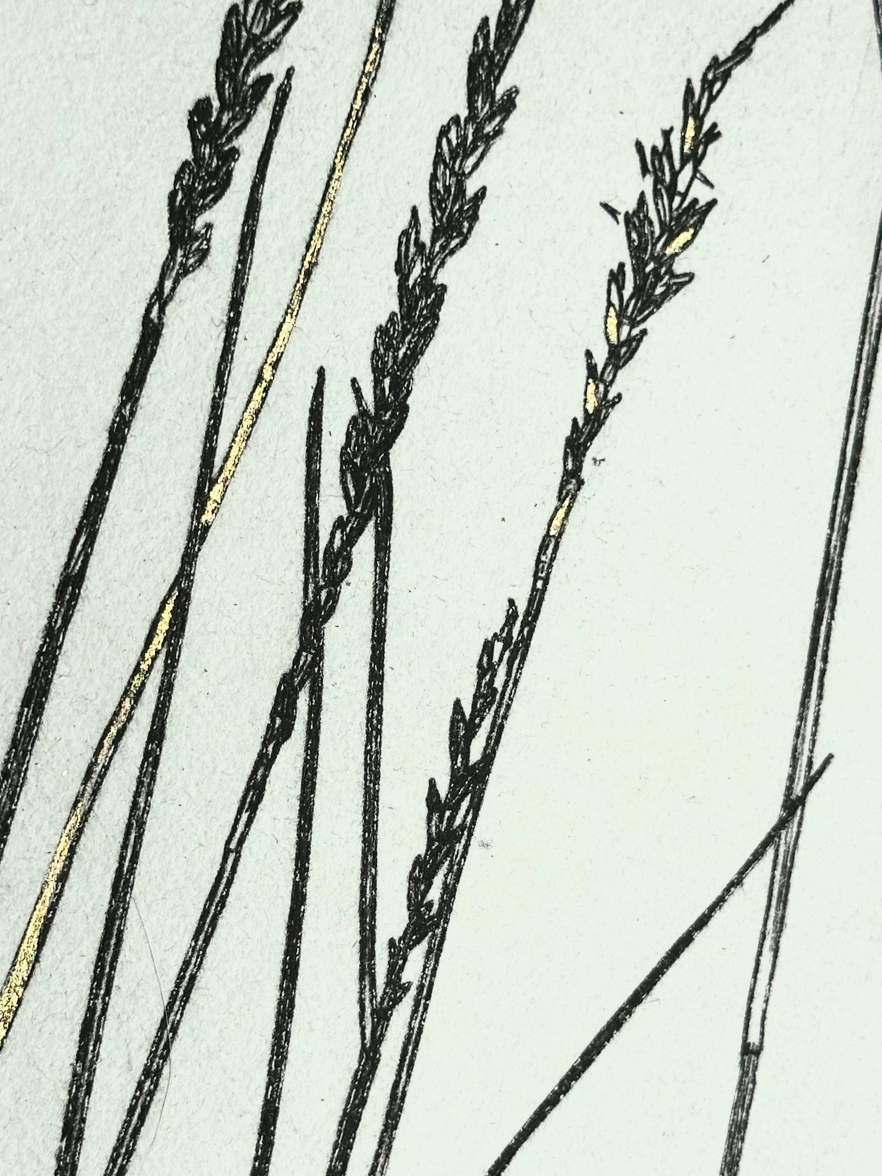 Gold Leaf Grass - Pleuraphis Jamesii - intaglio print