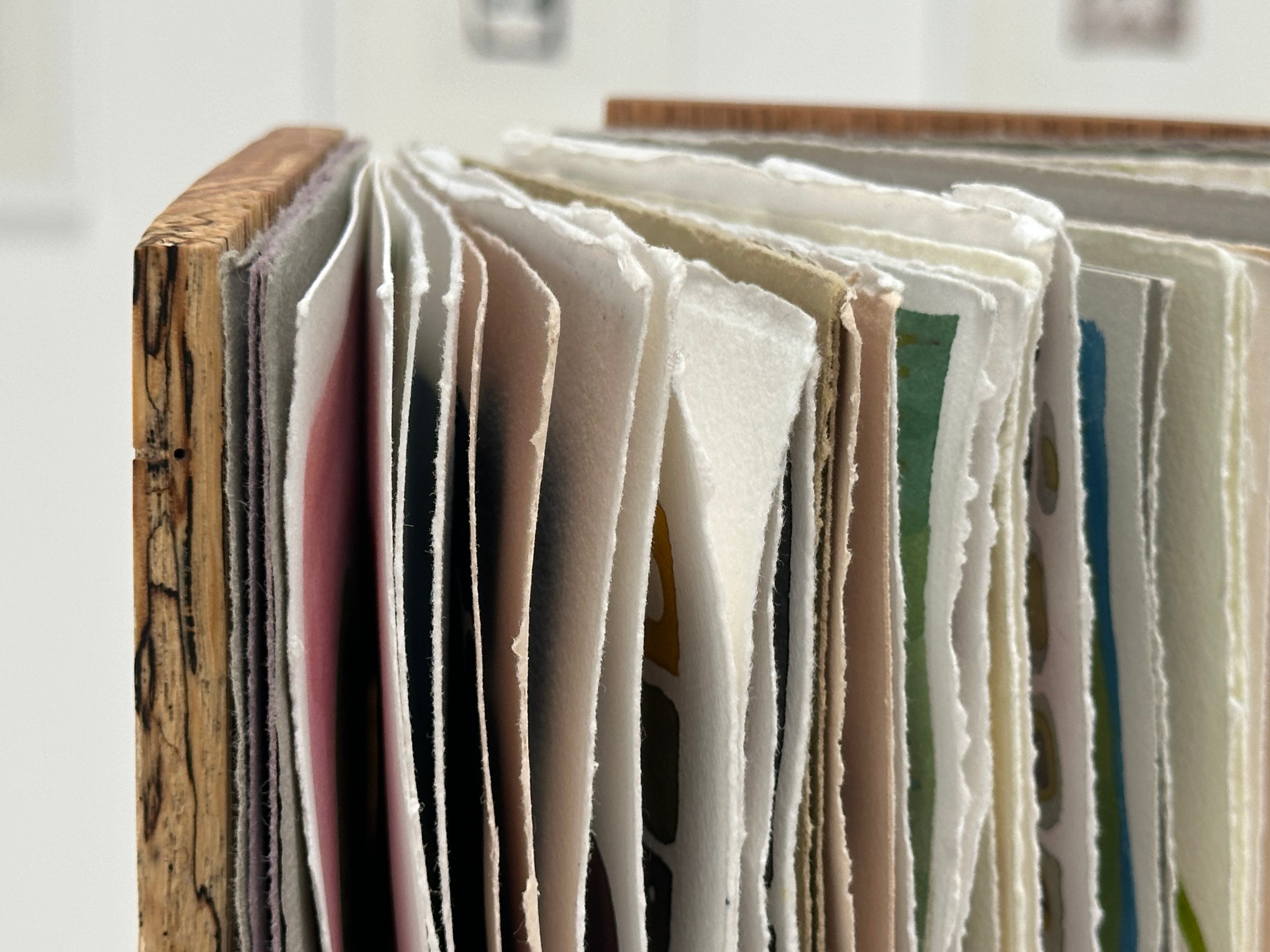 Studies - a hand bound book of watercolors