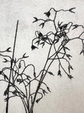 Rice Grass - an intaglio print