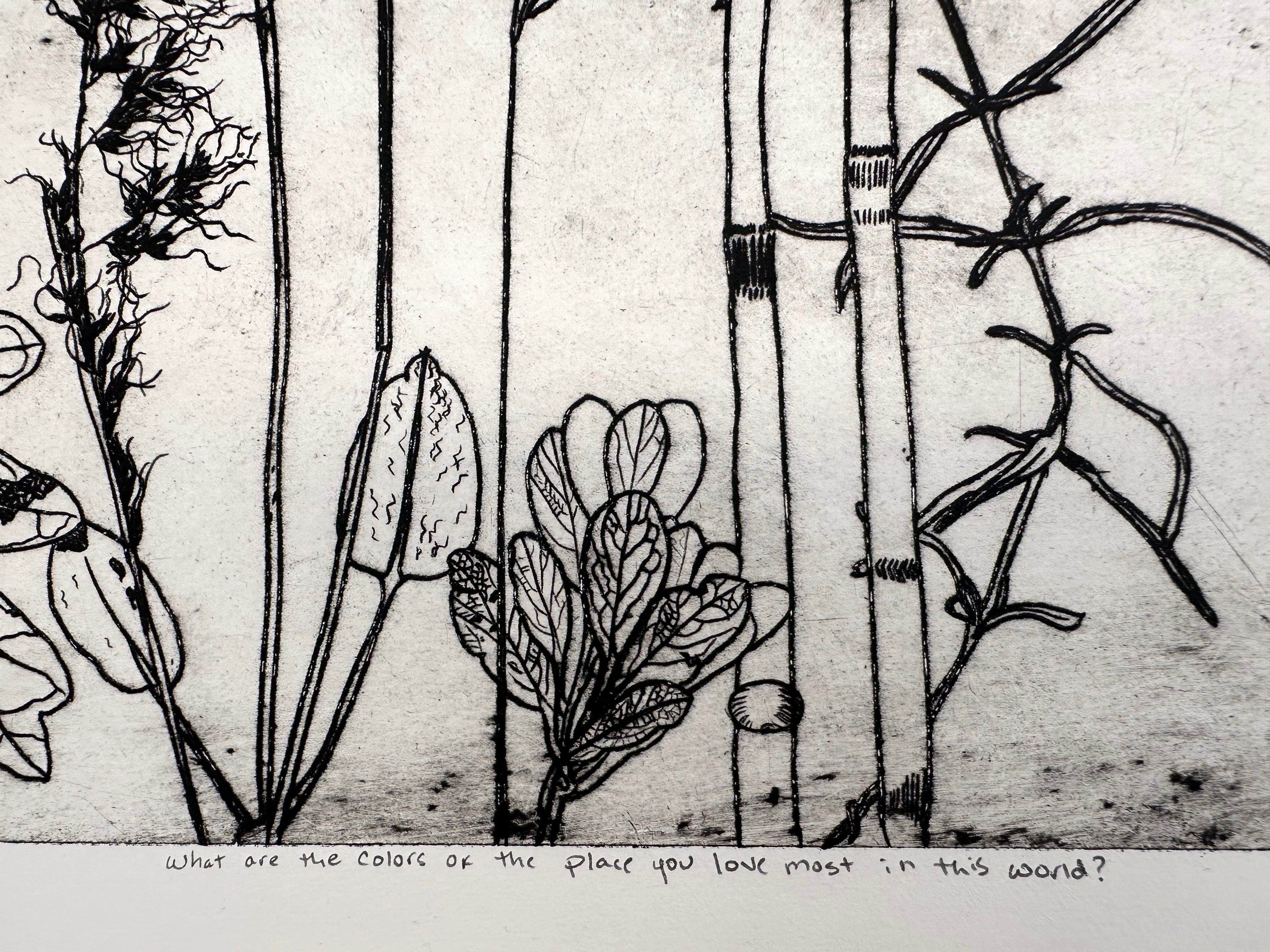 What are the colors of the place you love most in the world? - an intaglio print