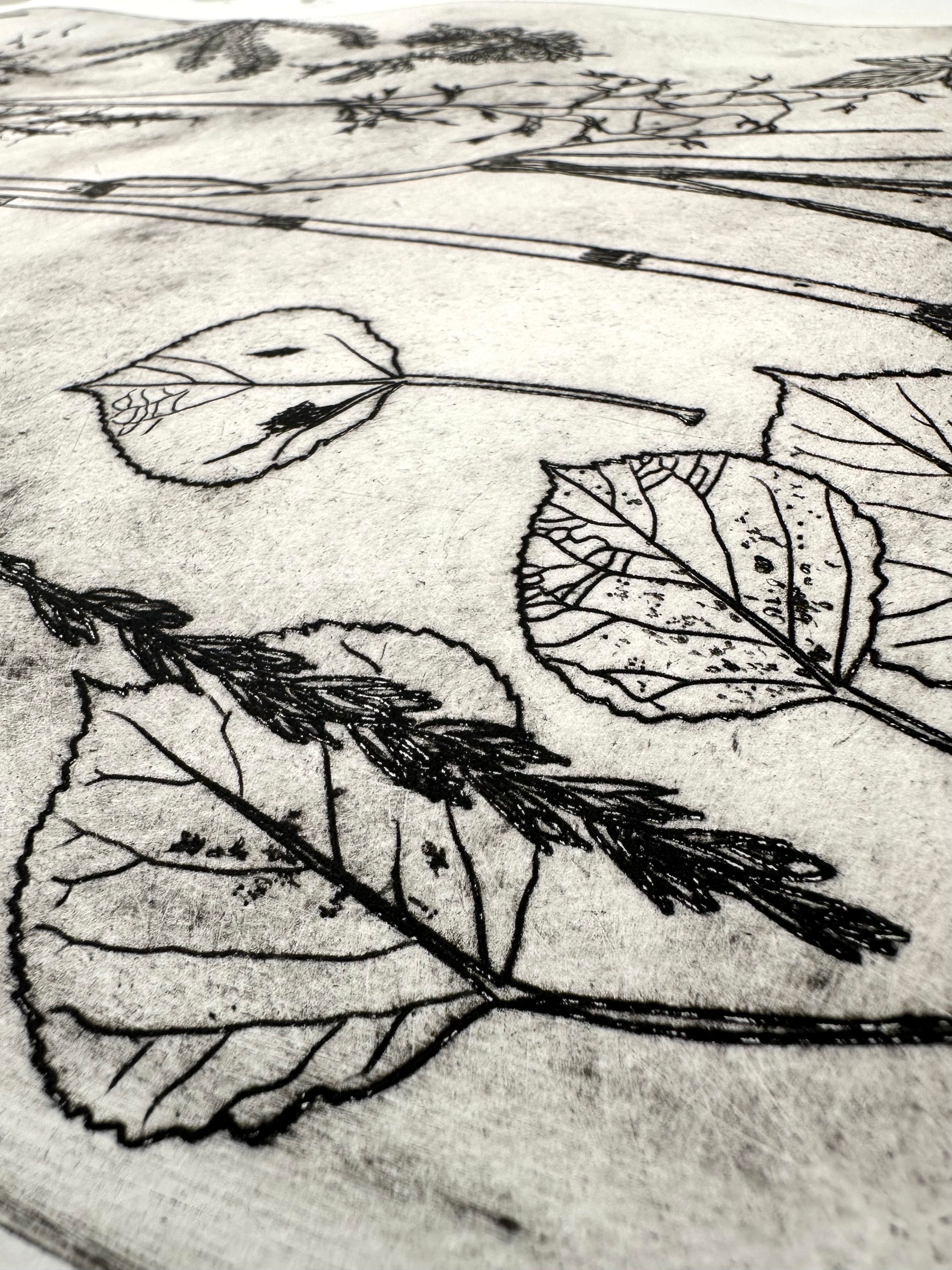 What are the colors of the place you love most in the world? - an intaglio print