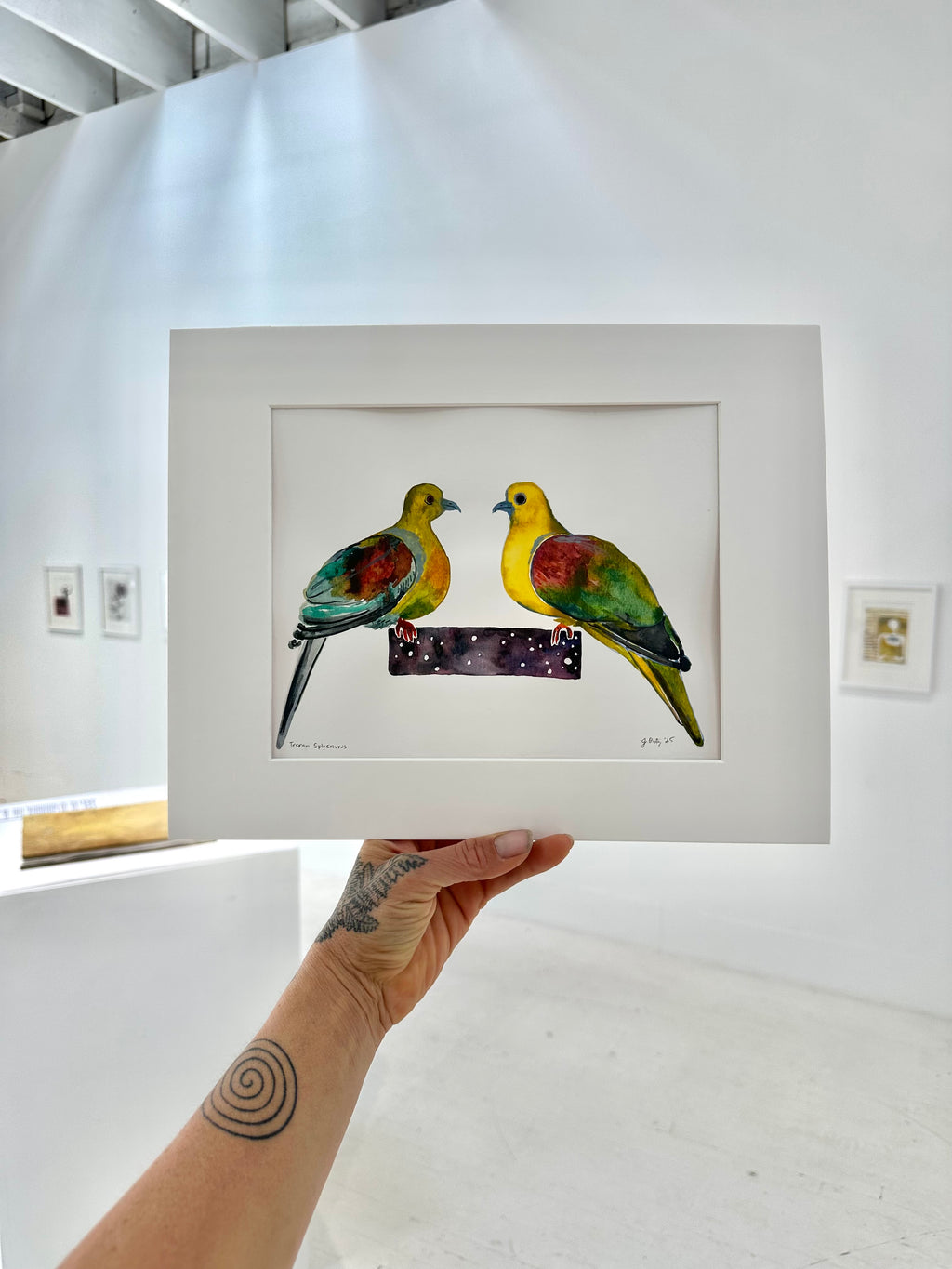 Treron Sphenurus - Wedge Tailed Green Pigeon - watercolor painting