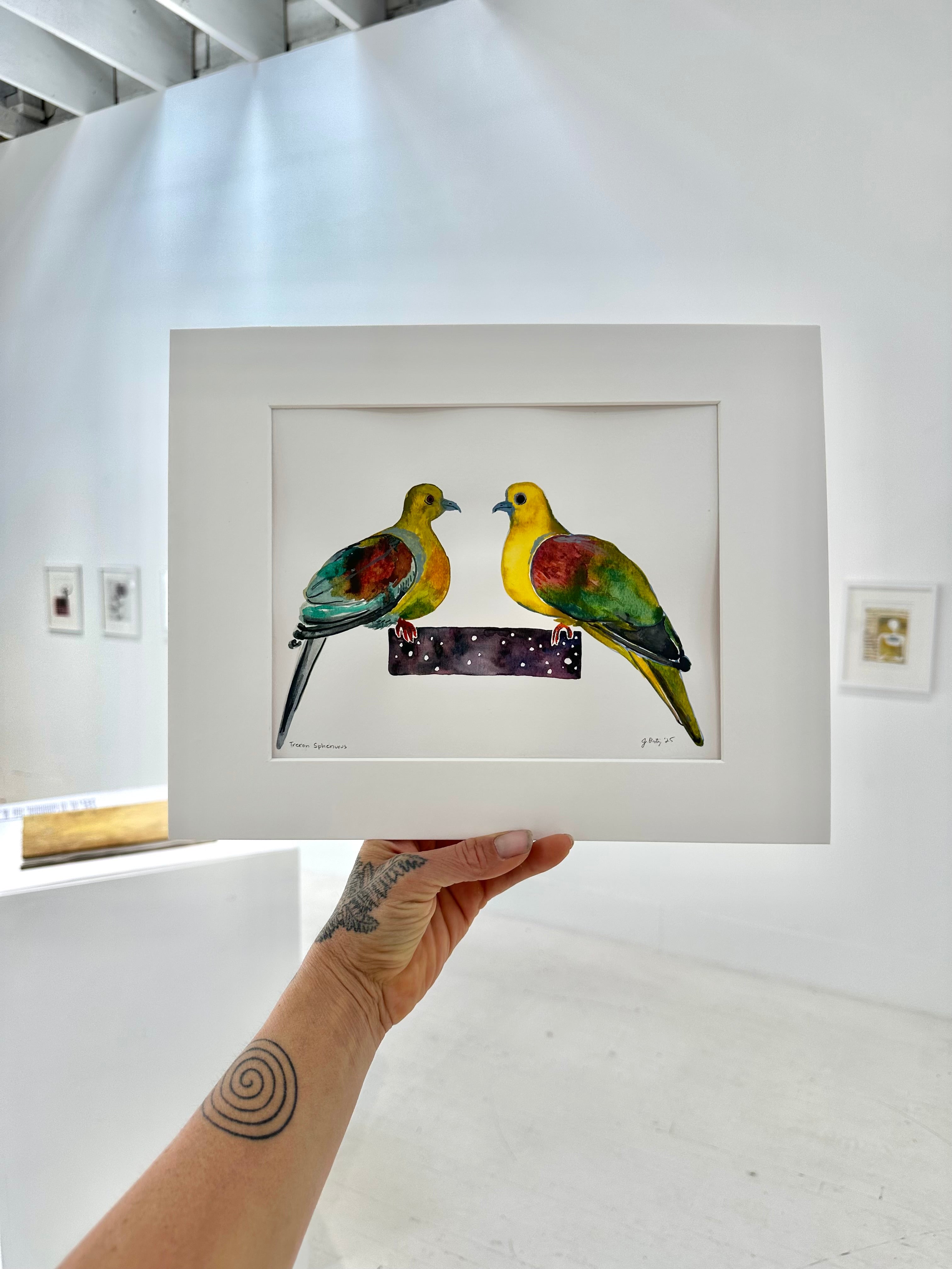 Treron Sphenurus - Wedge Tailed Green Pigeon - watercolor painting