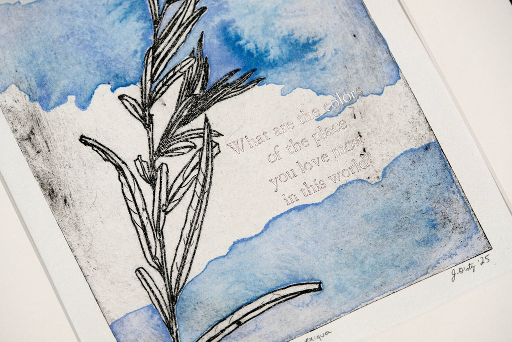 Coyote Willow - a painted intaglio print