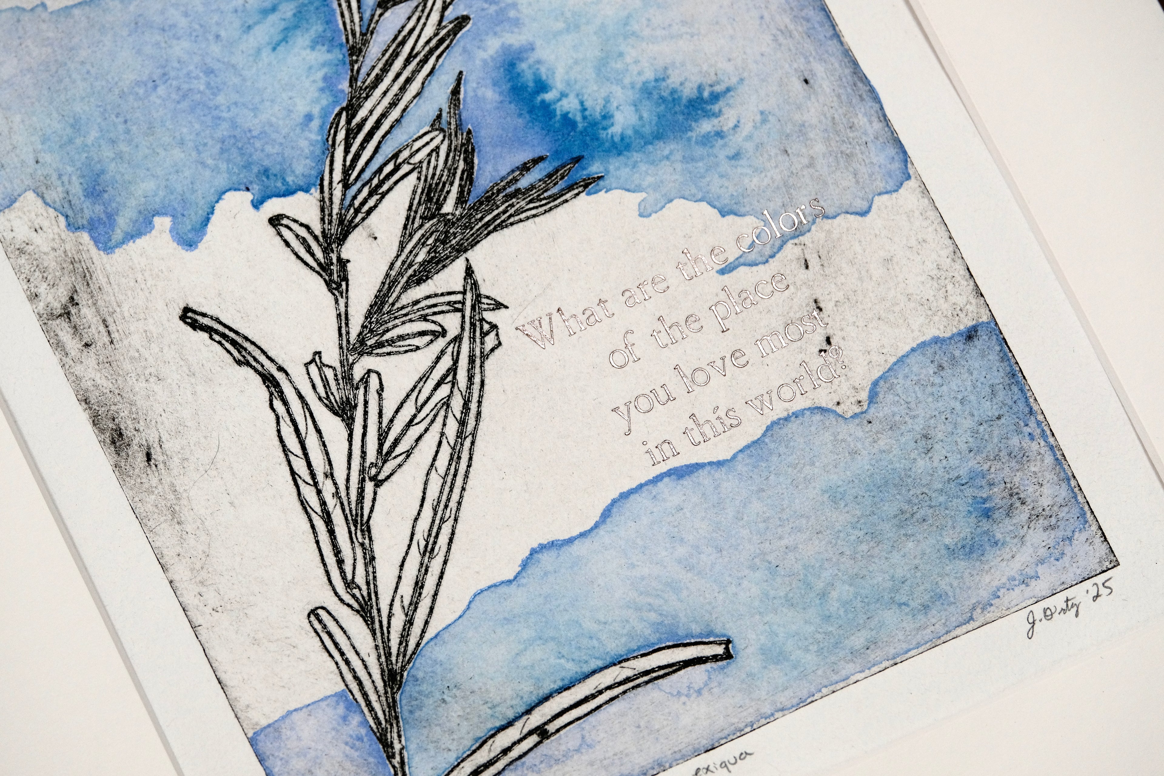 Coyote Willow - a painted intaglio print