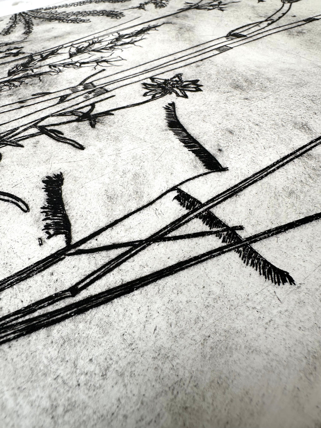 What are the colors of the place you love most in the world? - an intaglio print