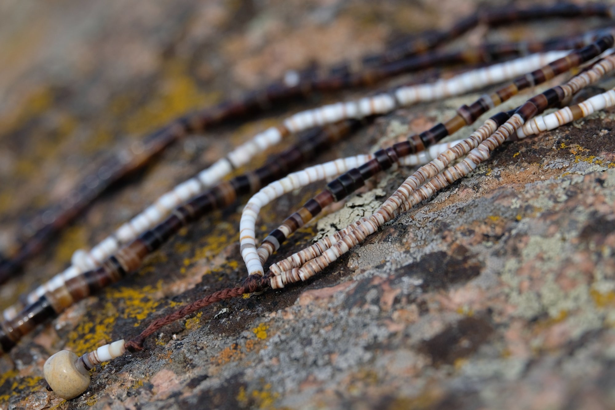 Stone & Shell
