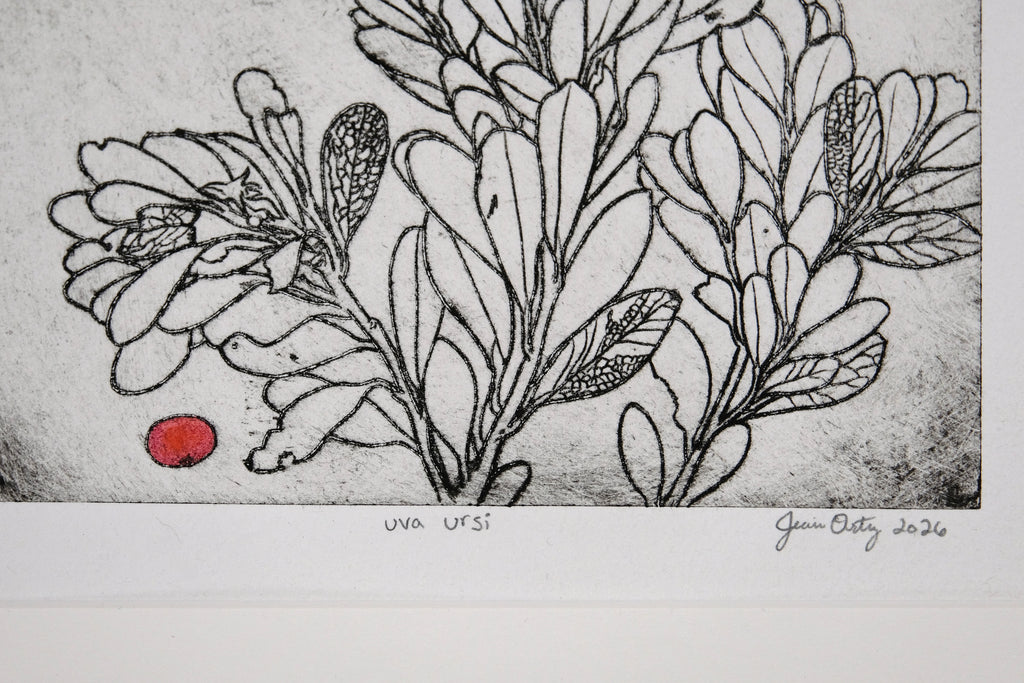 Uva Ursi - a painted intaglio print