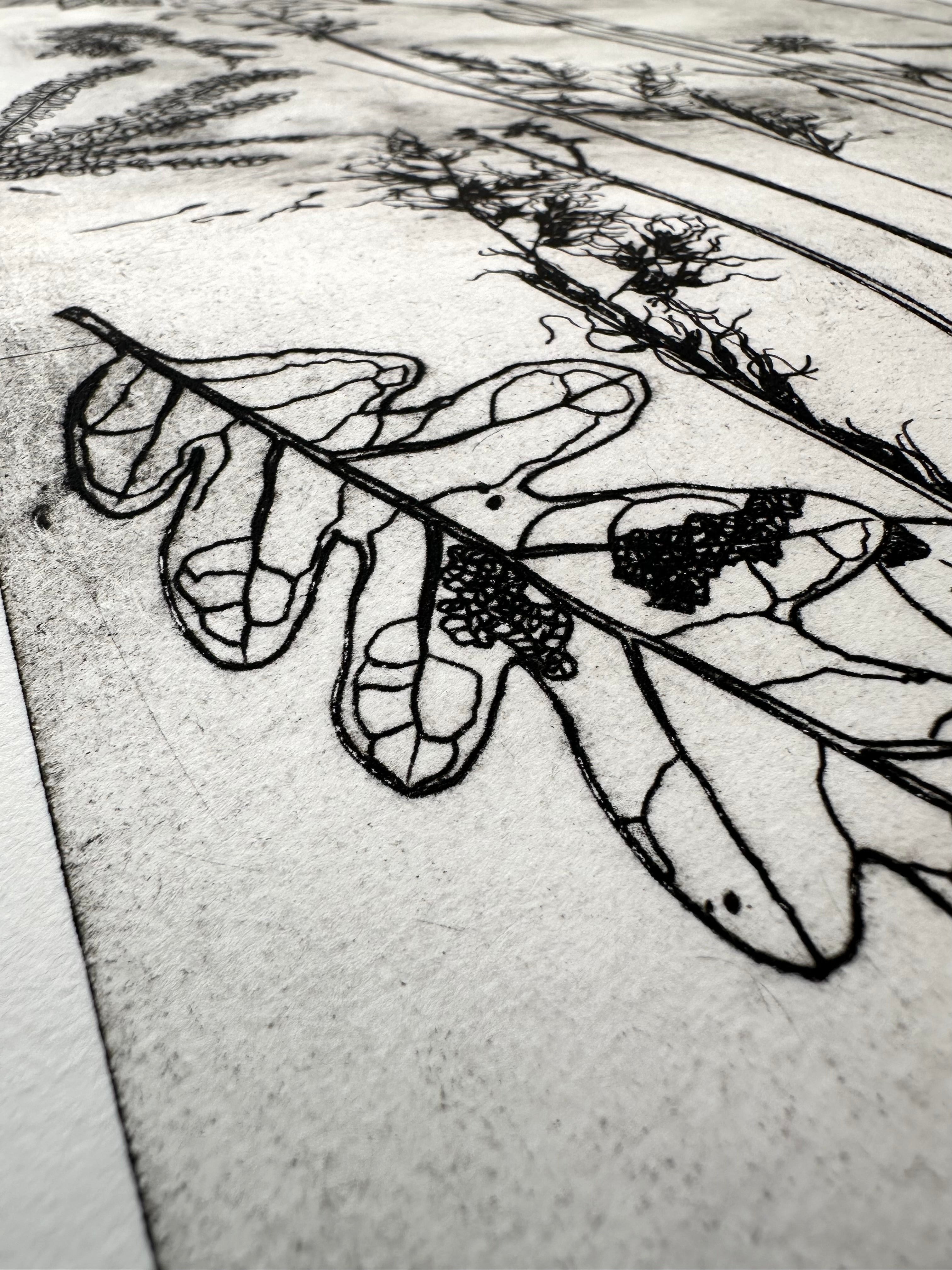 What are the colors of the place you love most in the world? - an intaglio print