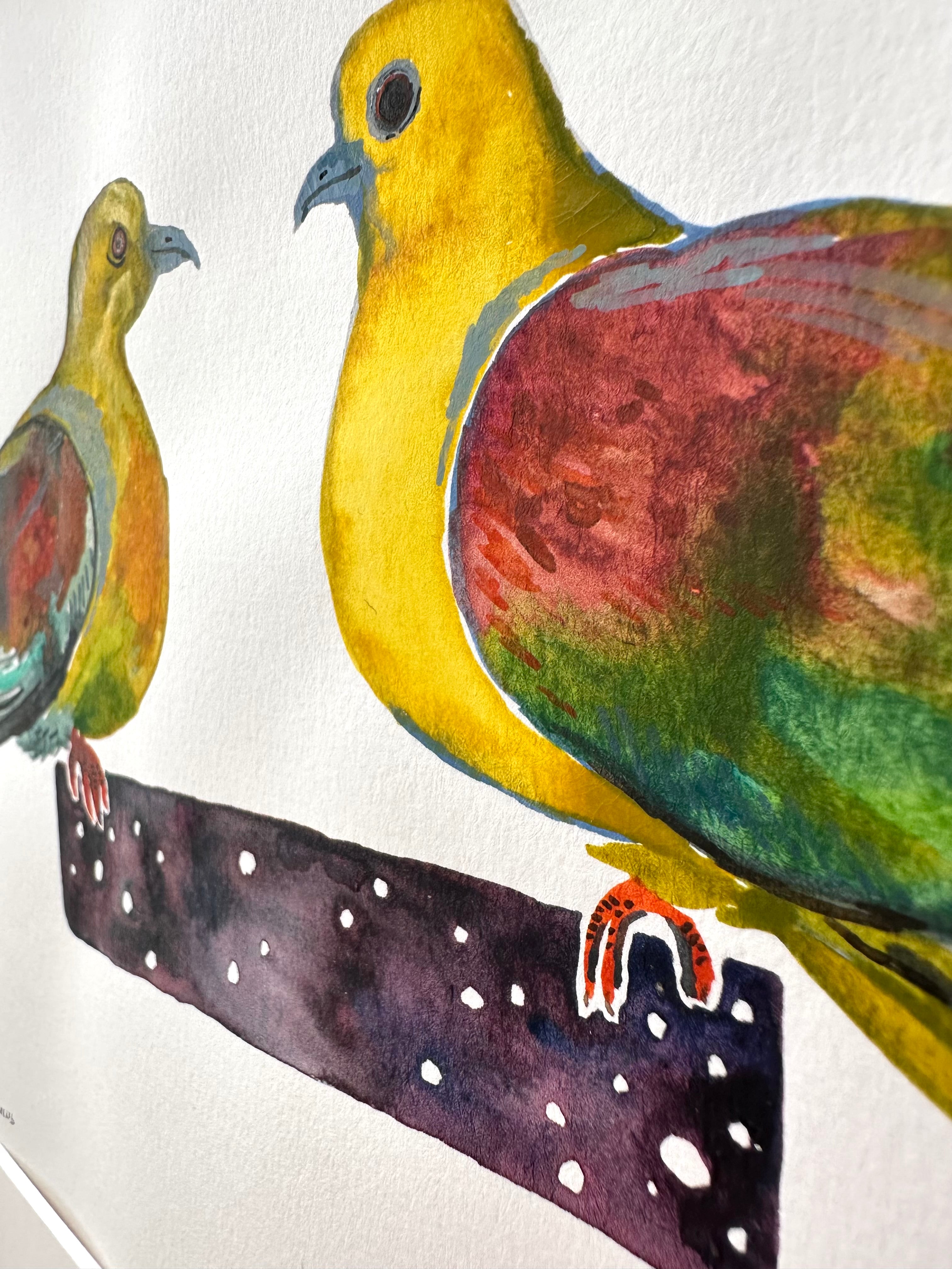Treron Sphenurus - Wedge Tailed Green Pigeon - watercolor painting