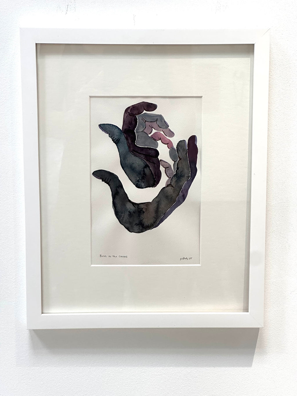 Bones of the Carpus - framed watercolor painting