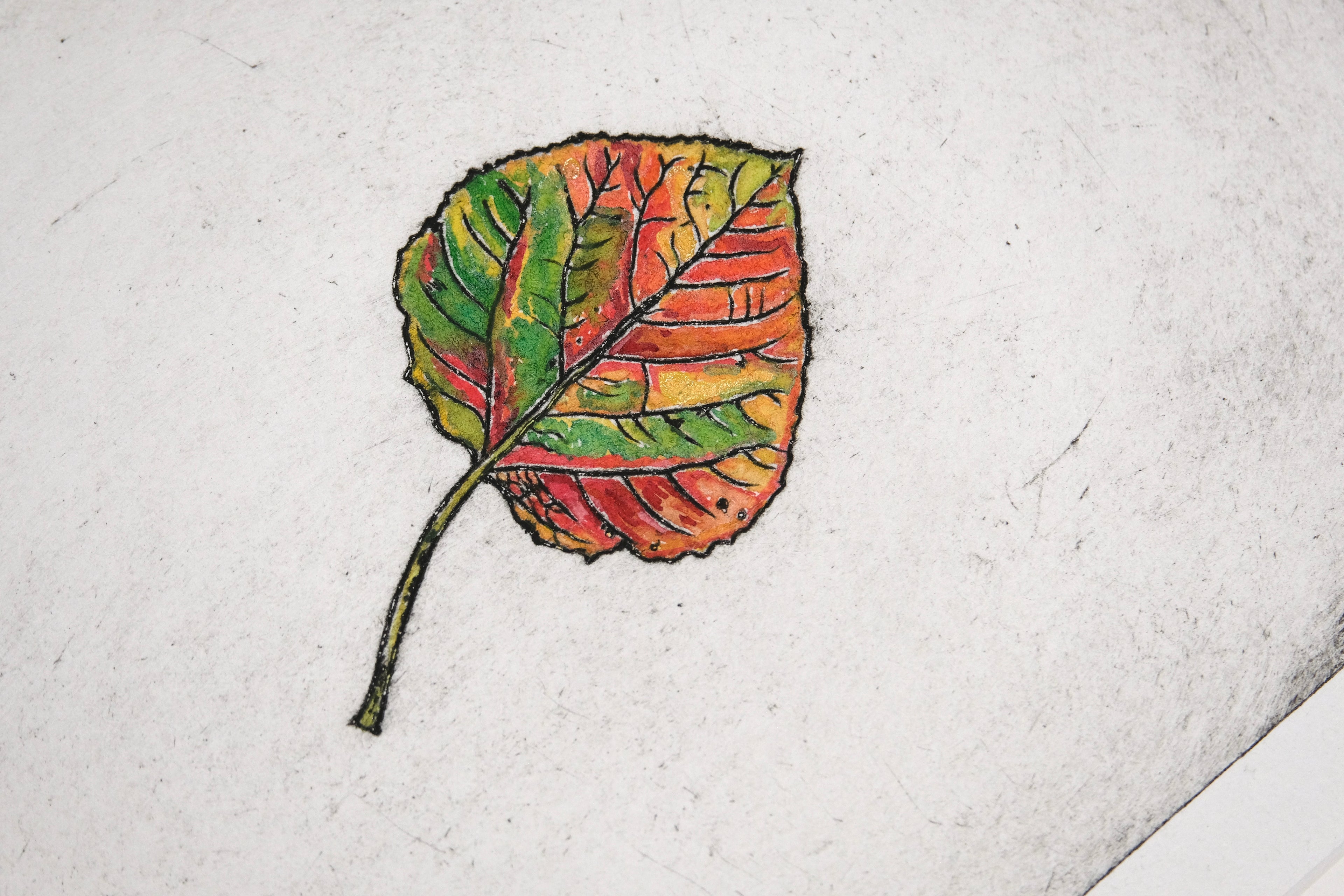 Aspen Leaf - a painted intaglio print