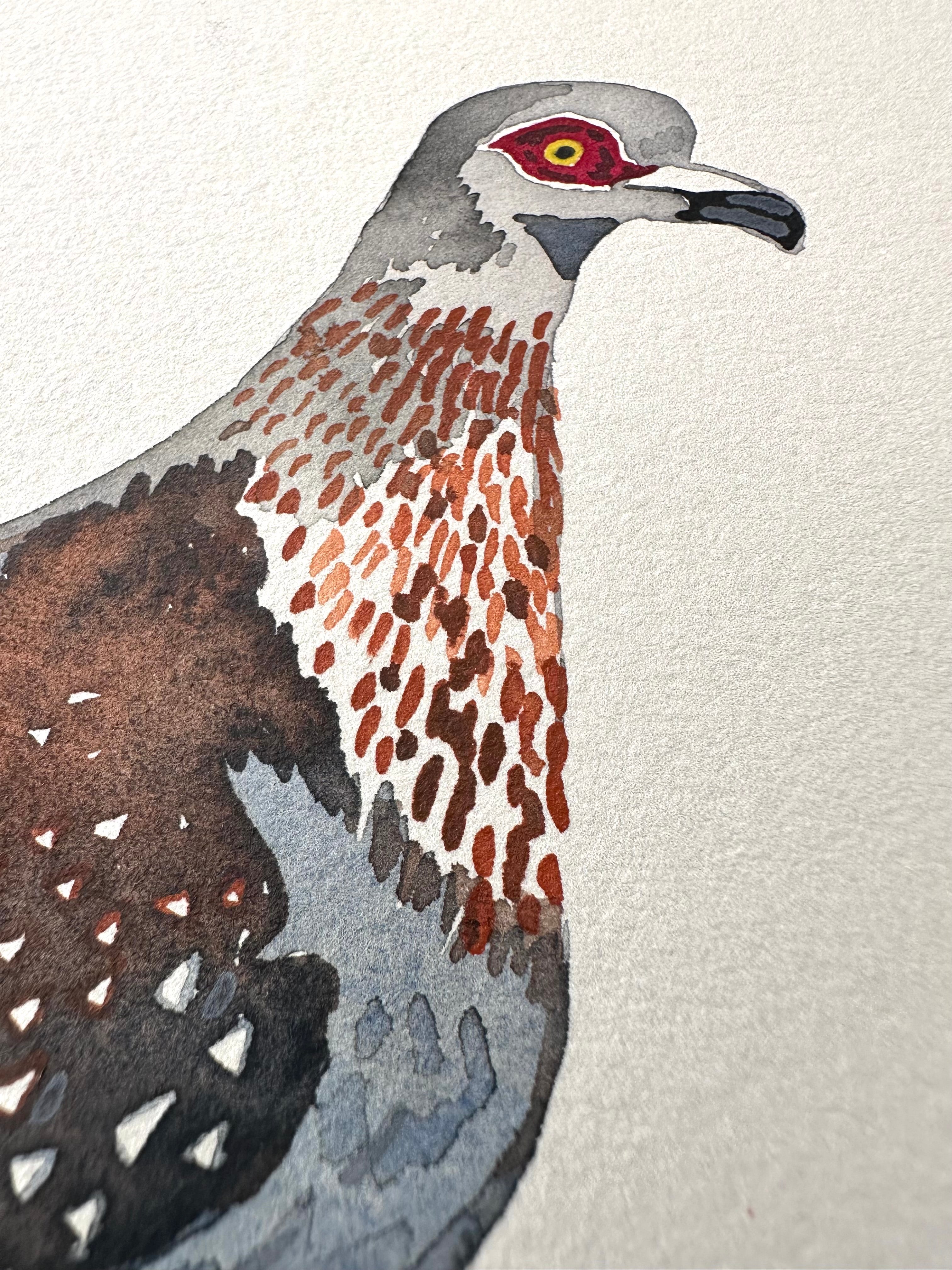 Speckled Pigeon - a watercolor painting