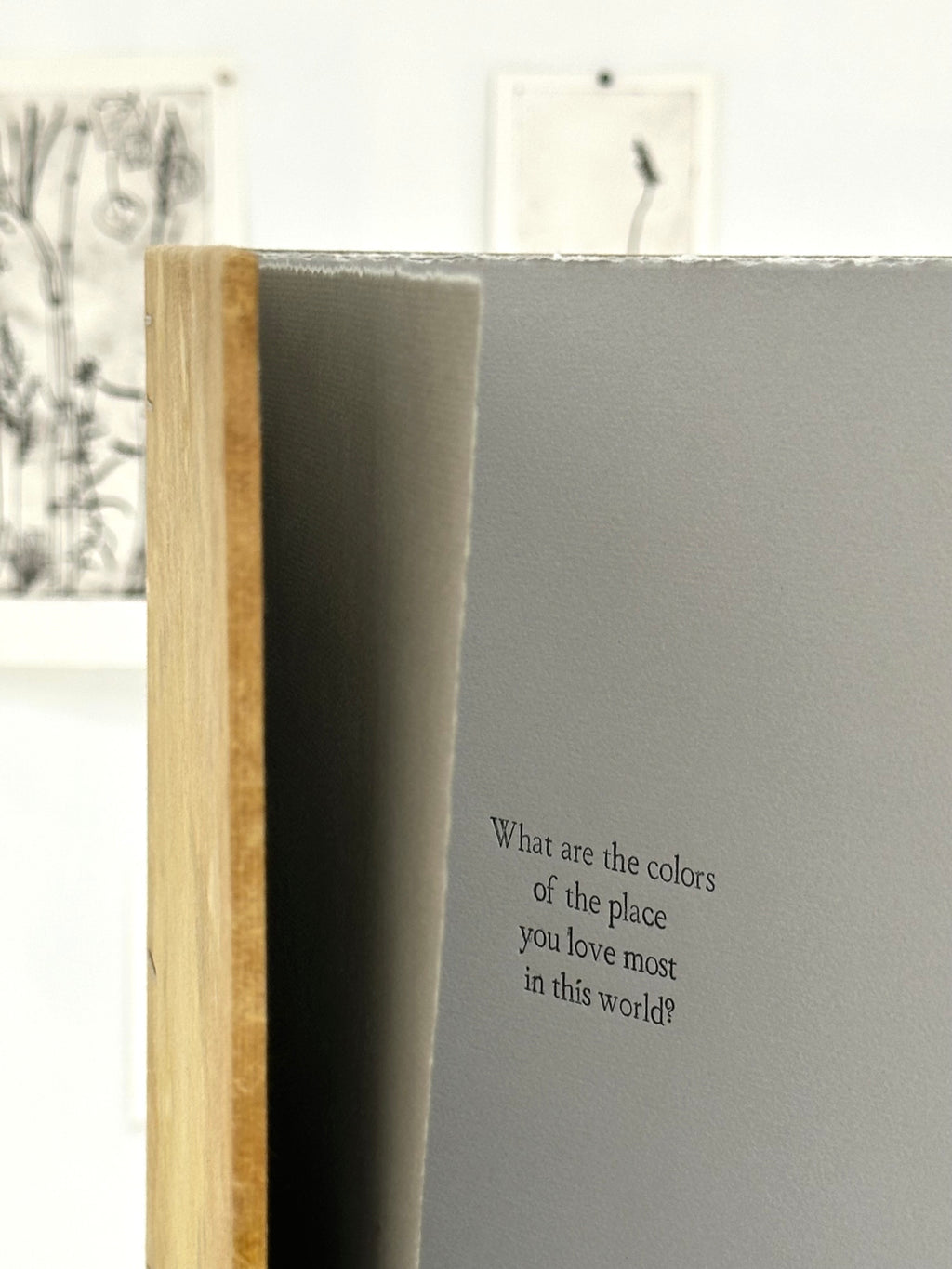 What Are the Colors of the Place You Love Most in This World? The Book