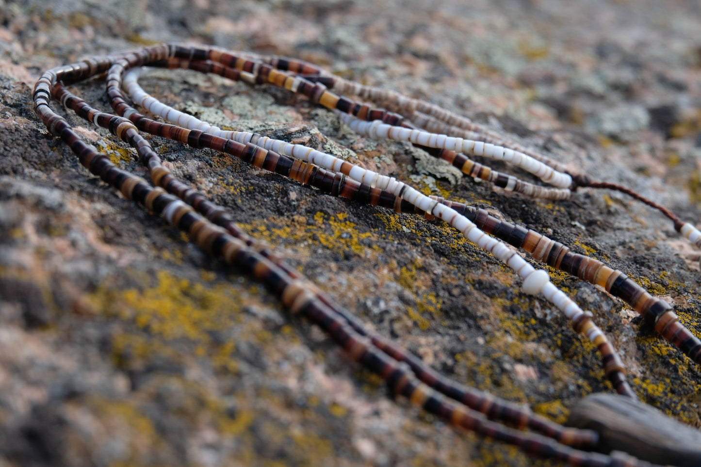 Stone & Shell