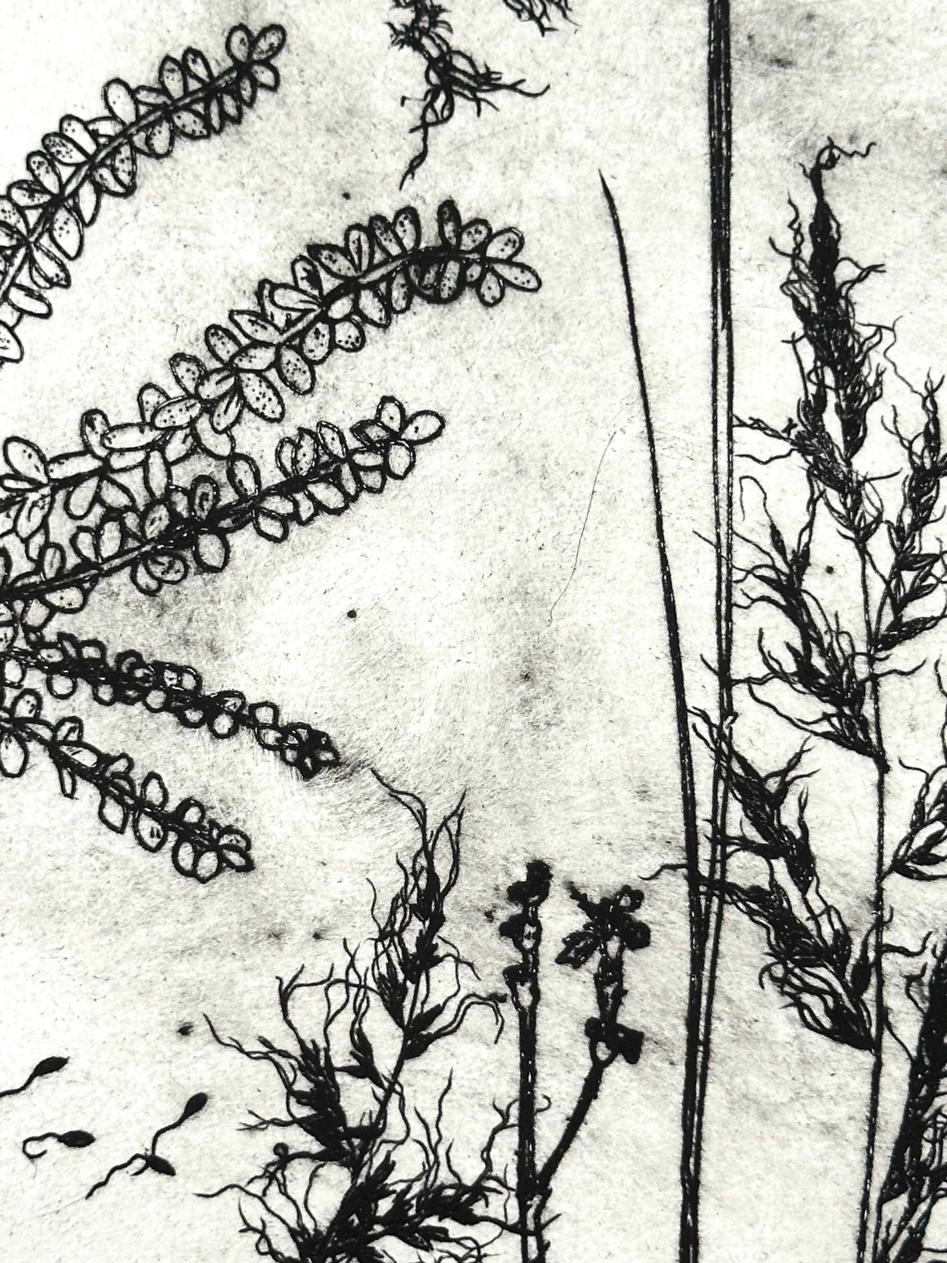 What are the colors of the place you love most in the world? - an intaglio print