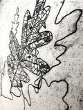 Quercus Gambelii - an intaglio print