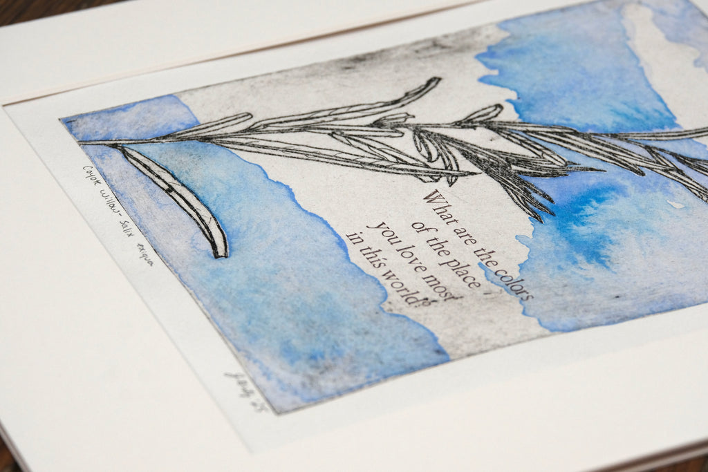Coyote Willow - a painted intaglio print