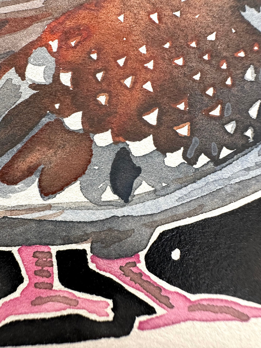 Speckled Pigeon - a watercolor painting