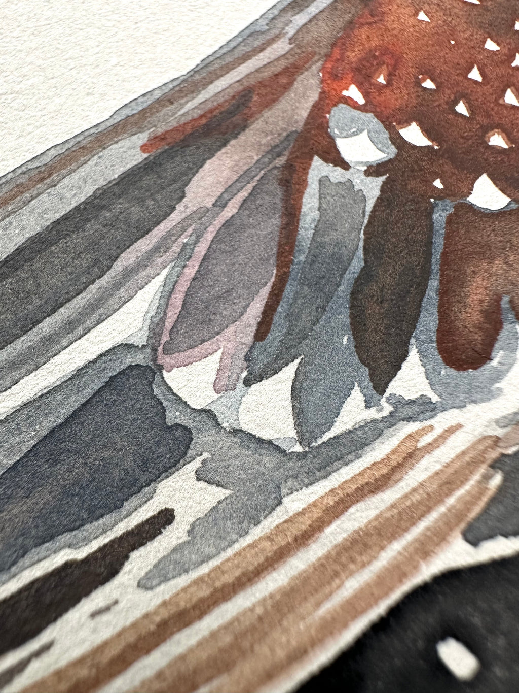 Speckled Pigeon - a watercolor painting