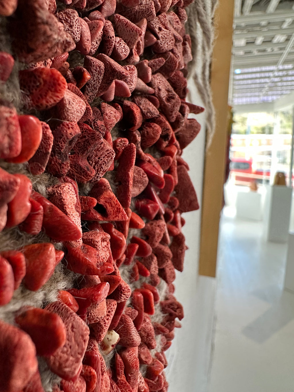 Red Coral & Wool