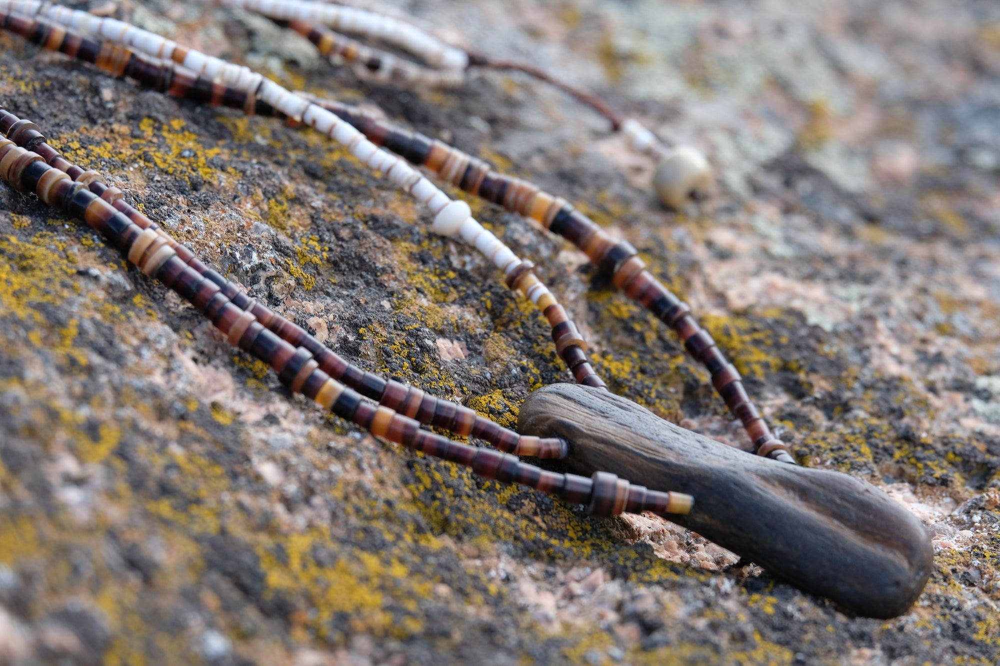 Stone & Shell