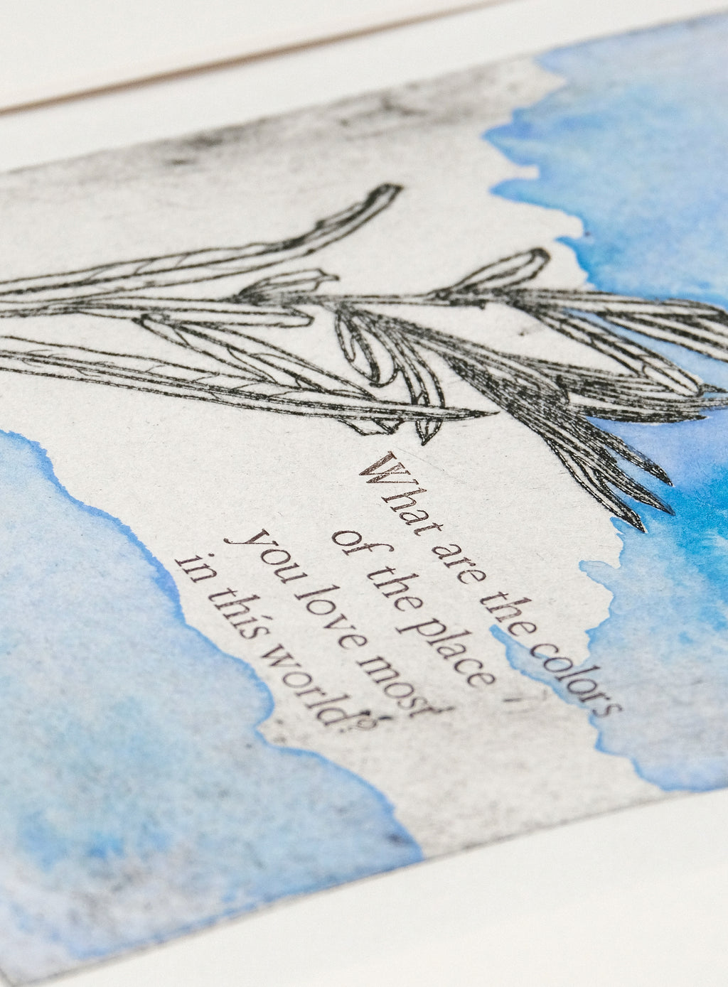 Coyote Willow - a painted intaglio print