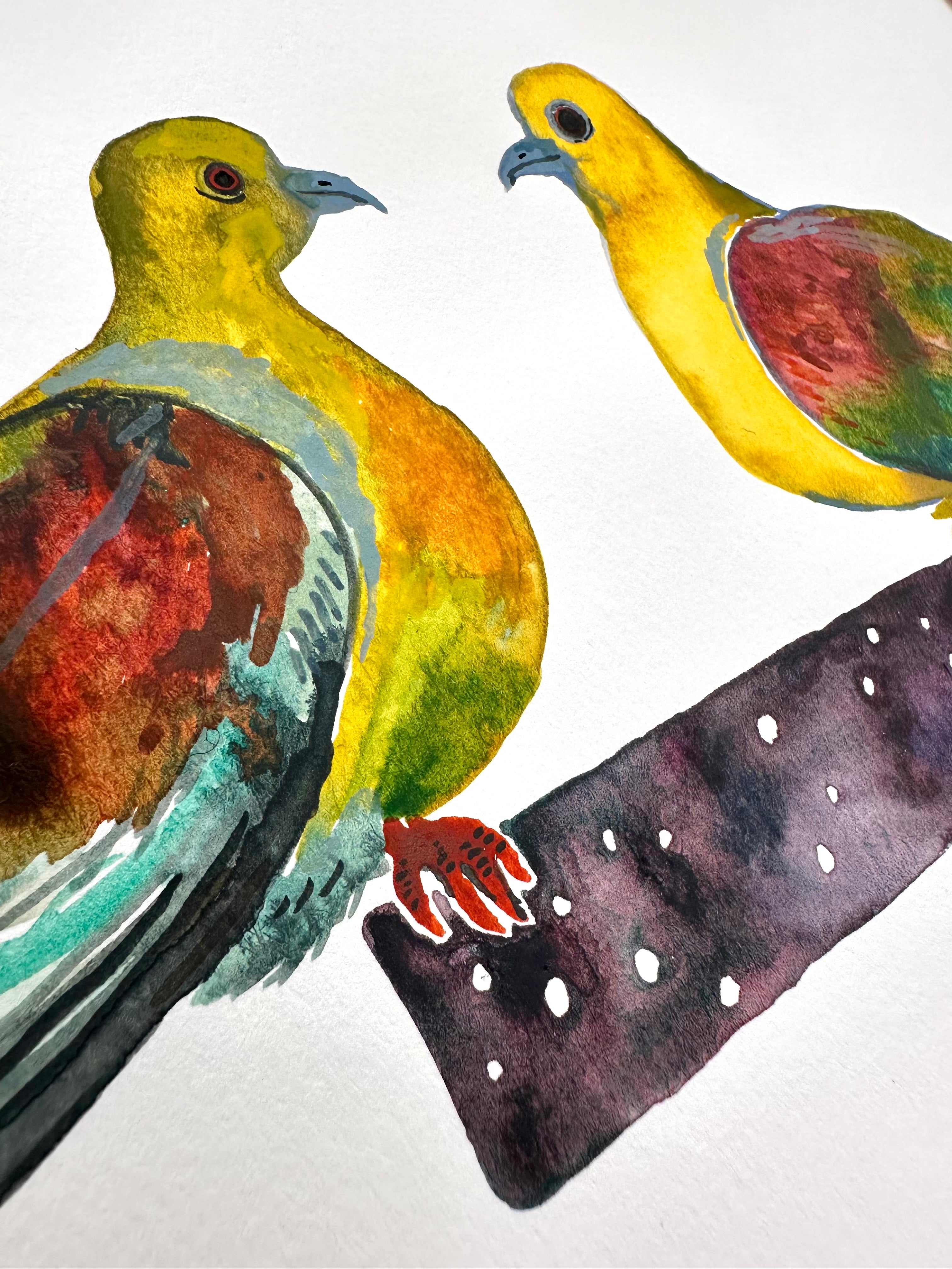 Treron Sphenurus - Wedge Tailed Green Pigeon - watercolor painting