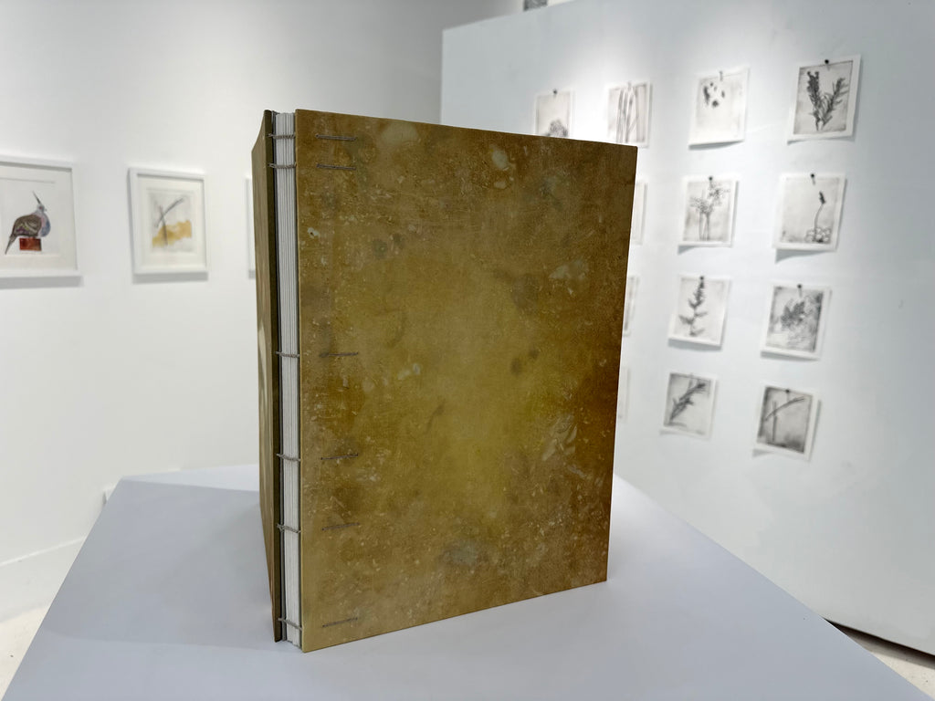 What Are the Colors of the Place You Love Most in This World? The Book