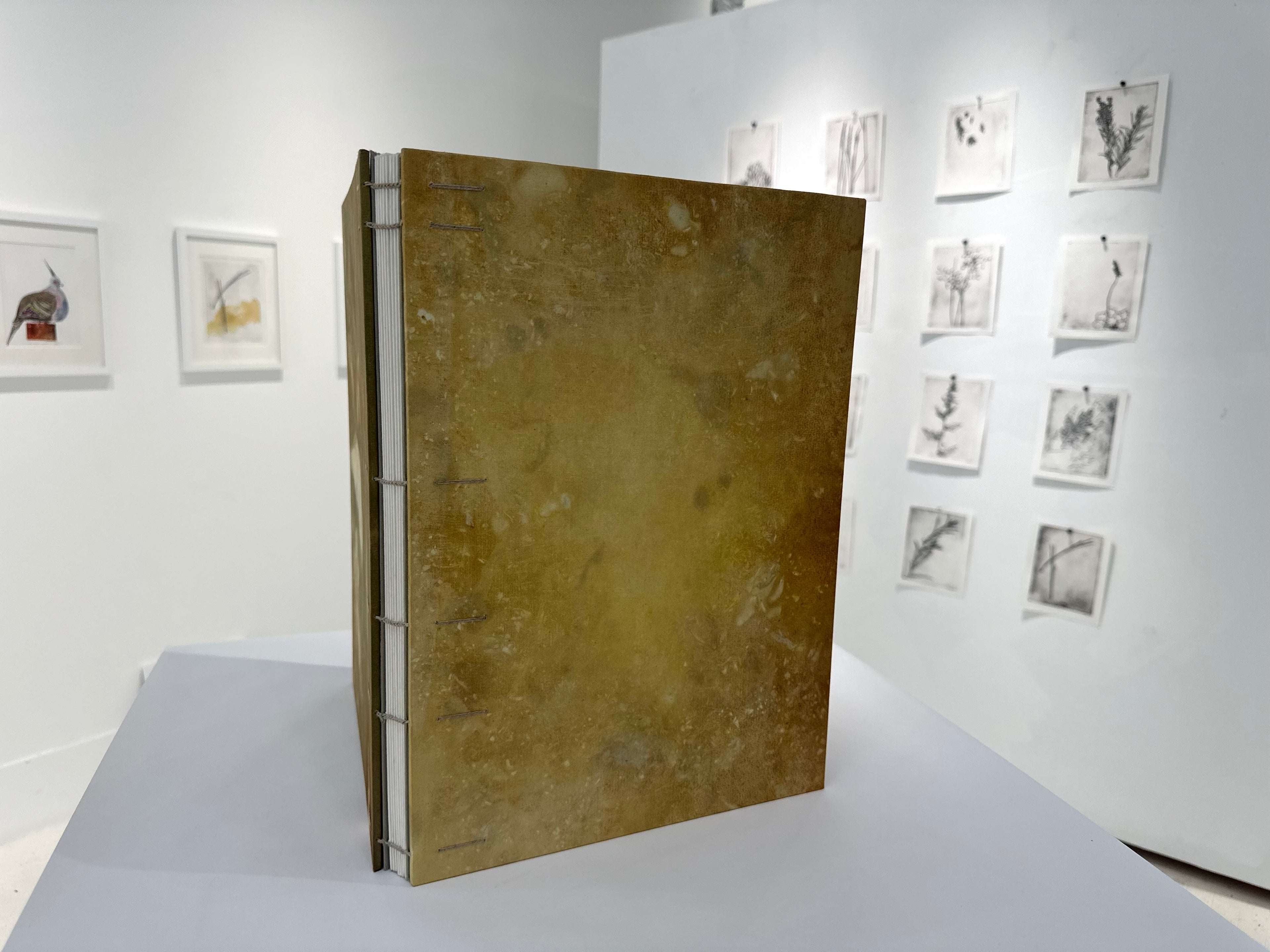 What Are the Colors of the Place You Love Most in This World? The Book