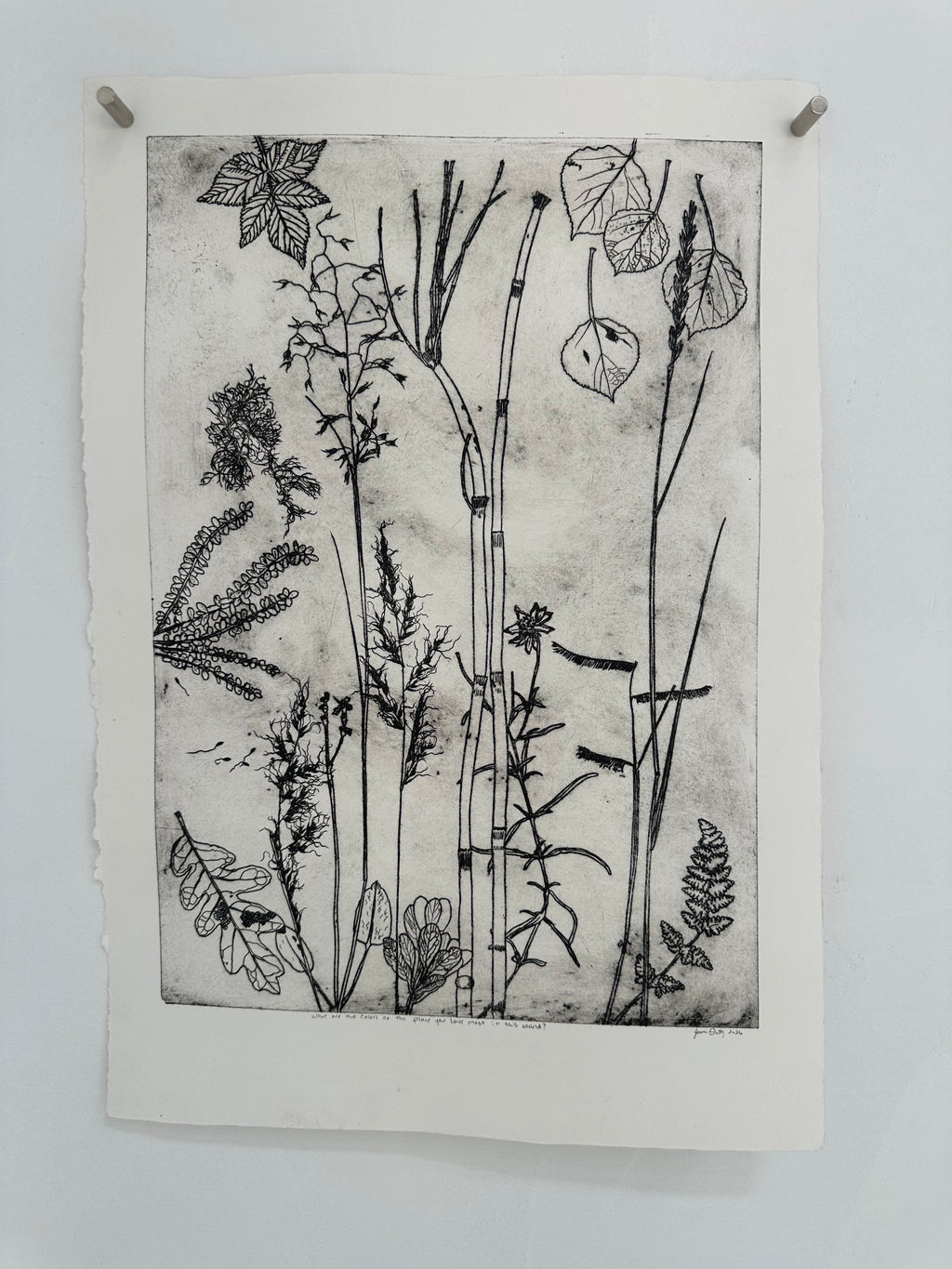 What are the colors of the place you love most in the world? - an intaglio print