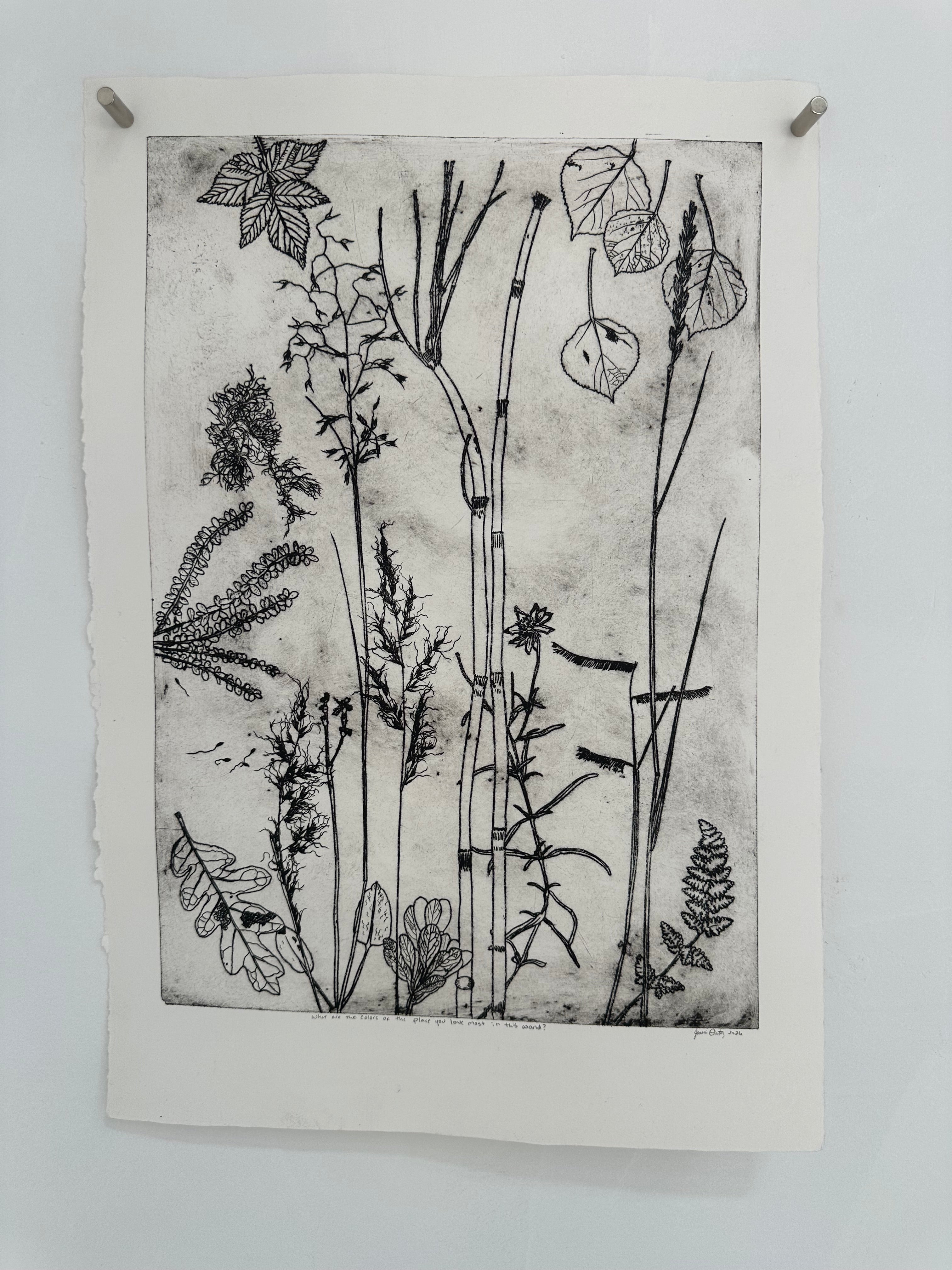 What are the colors of the place you love most in the world? - an intaglio print
