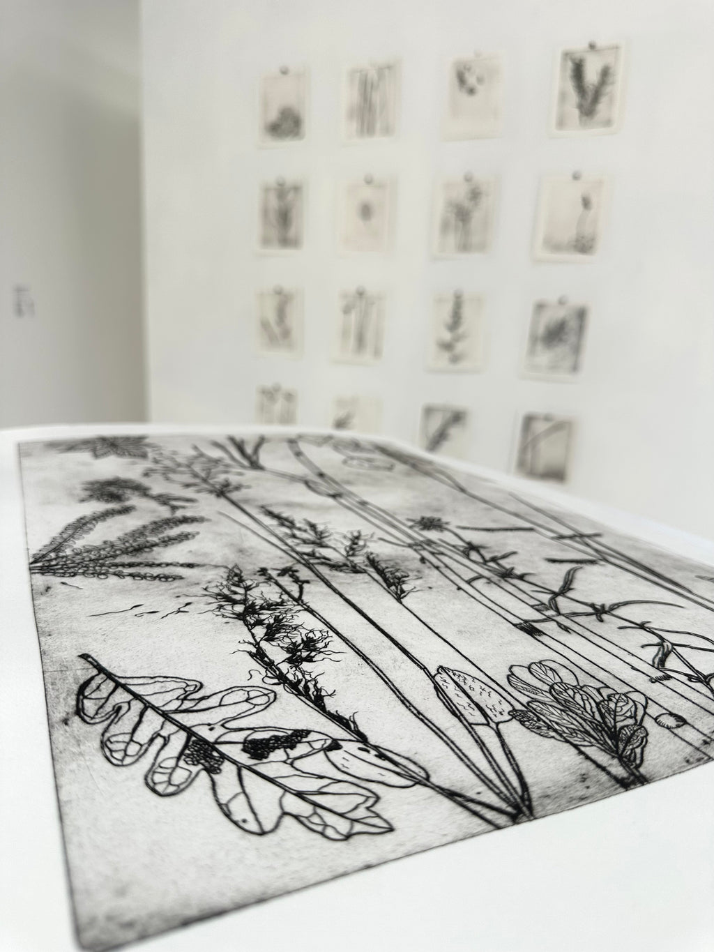 What are the colors of the place you love most in the world? - an intaglio print