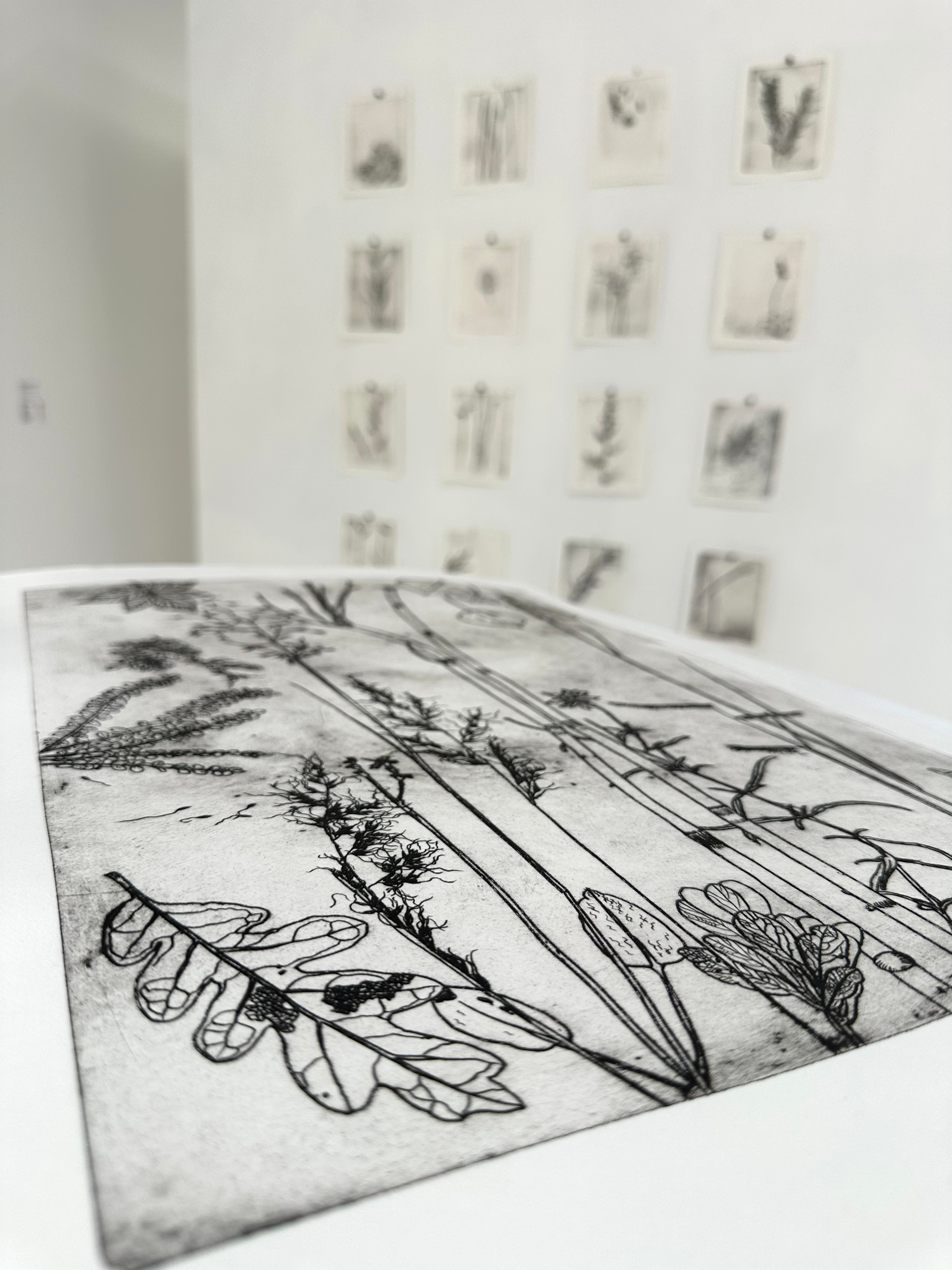 What are the colors of the place you love most in the world? - an intaglio print