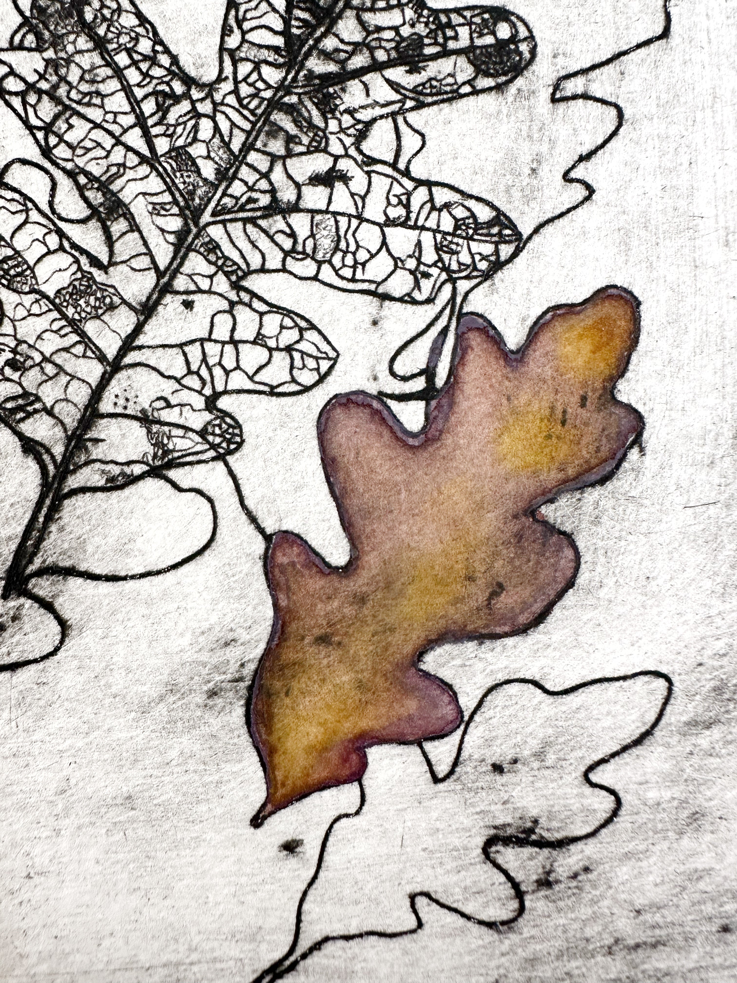 New Mexico Scrub Oak - a painted intaglio print