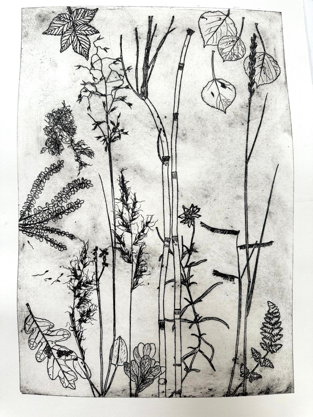 What are the colors of the place you love most in the world? - an intaglio print