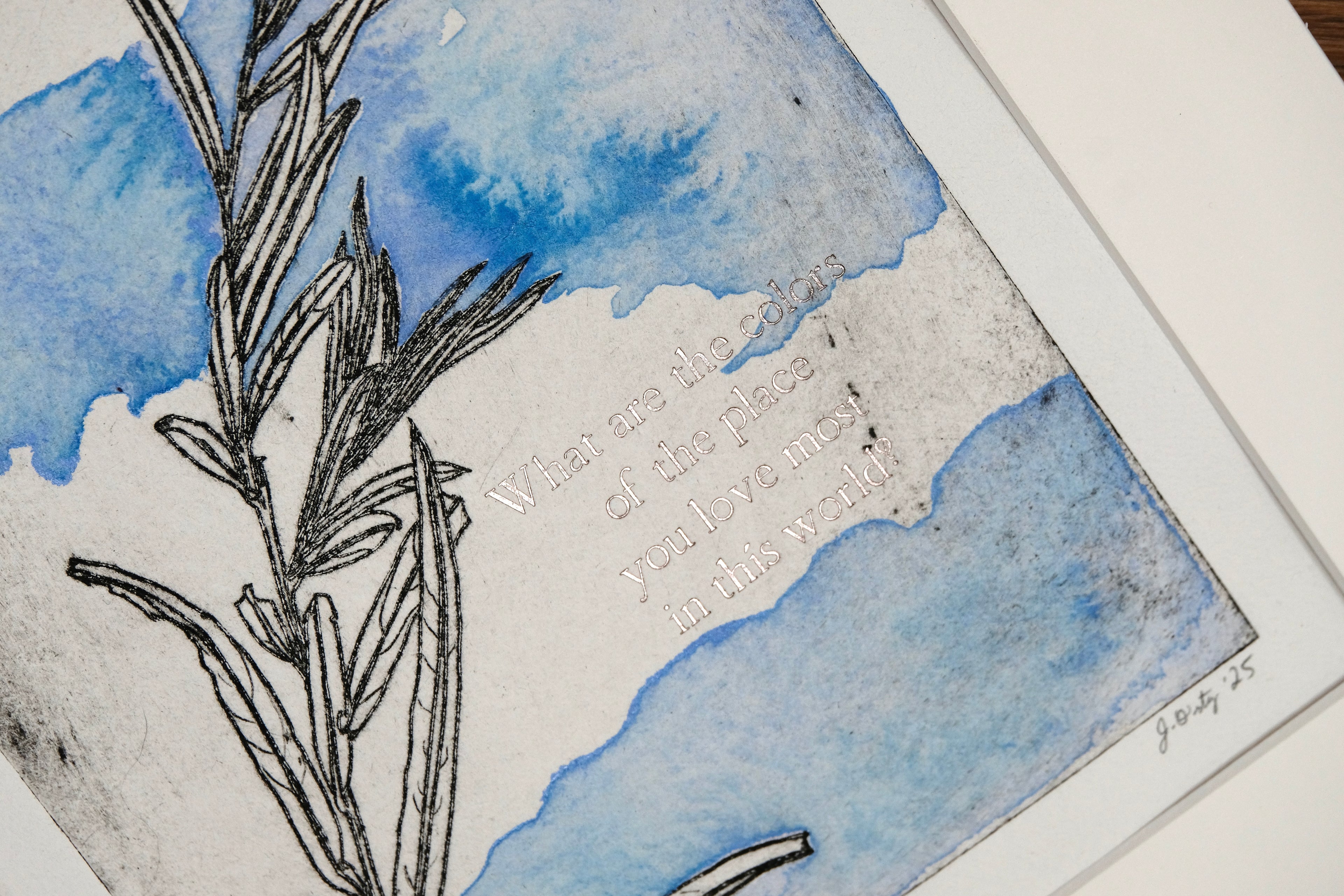 Coyote Willow - a painted intaglio print