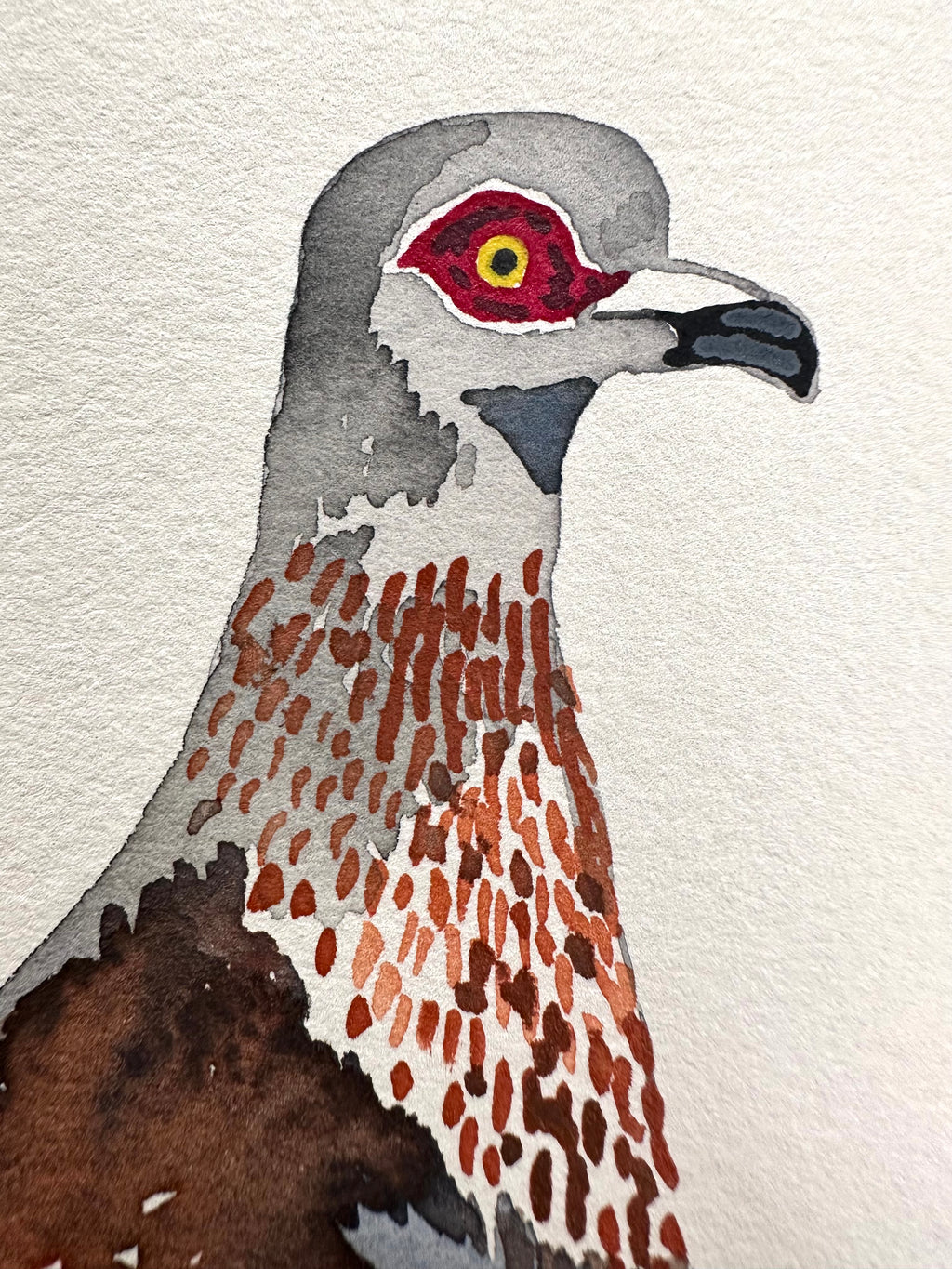 Speckled Pigeon - a watercolor painting