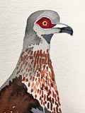 Speckled Pigeon - a watercolor painting