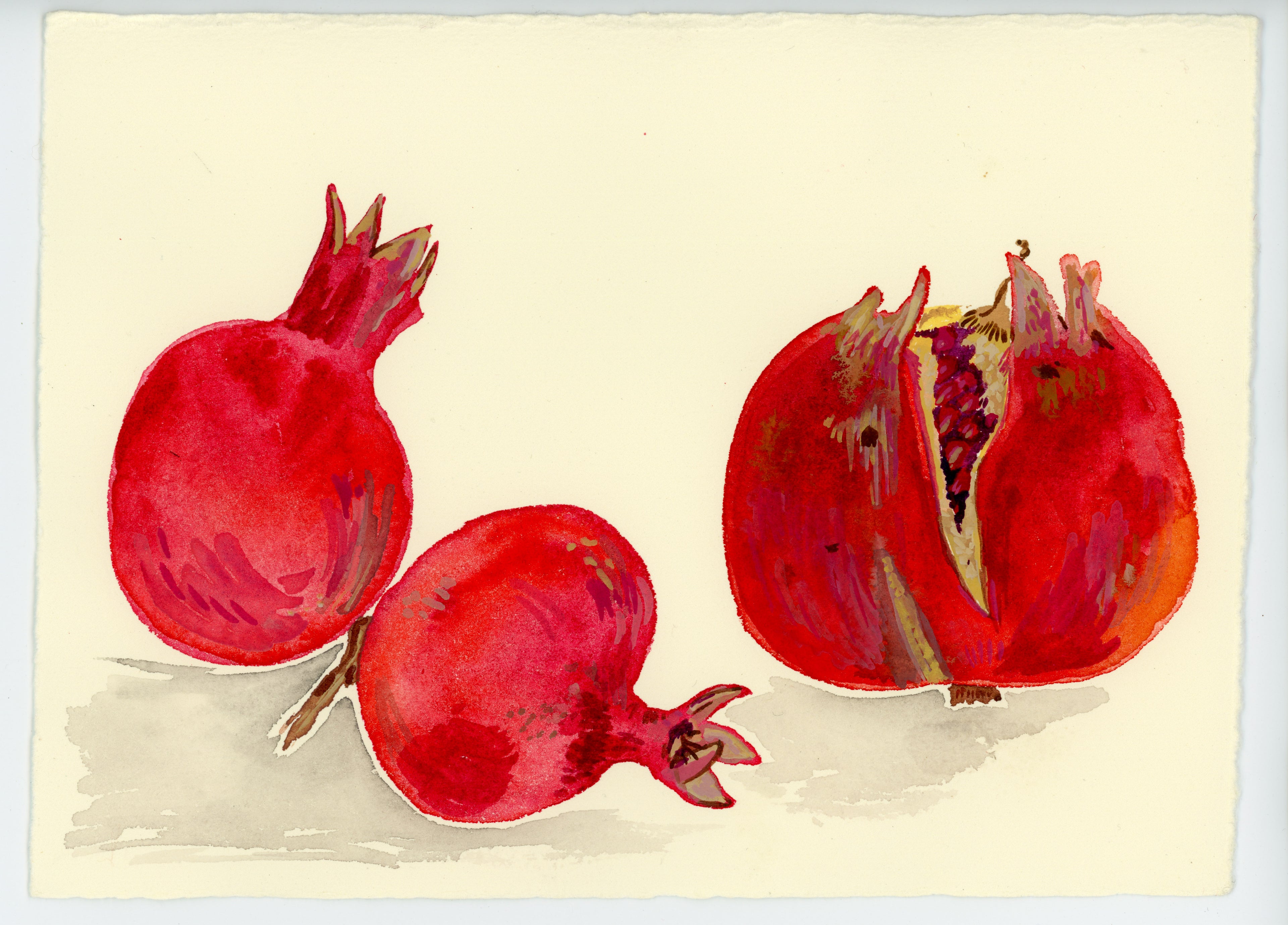 Studies - a hand bound book of watercolors